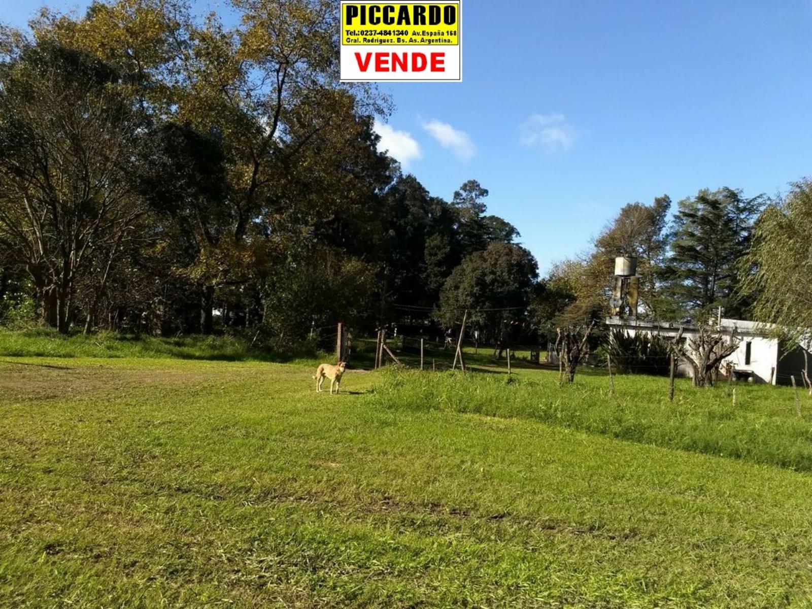 CAMPO FRACCIÓN 3 HAS CON CASAS Y GALPONES EN VENTA SOBRE RUTA 24 REF.1393 ZONA INDUSTRIAL. GRAL. RODRÍGUEZ PICCARDO — foto 15