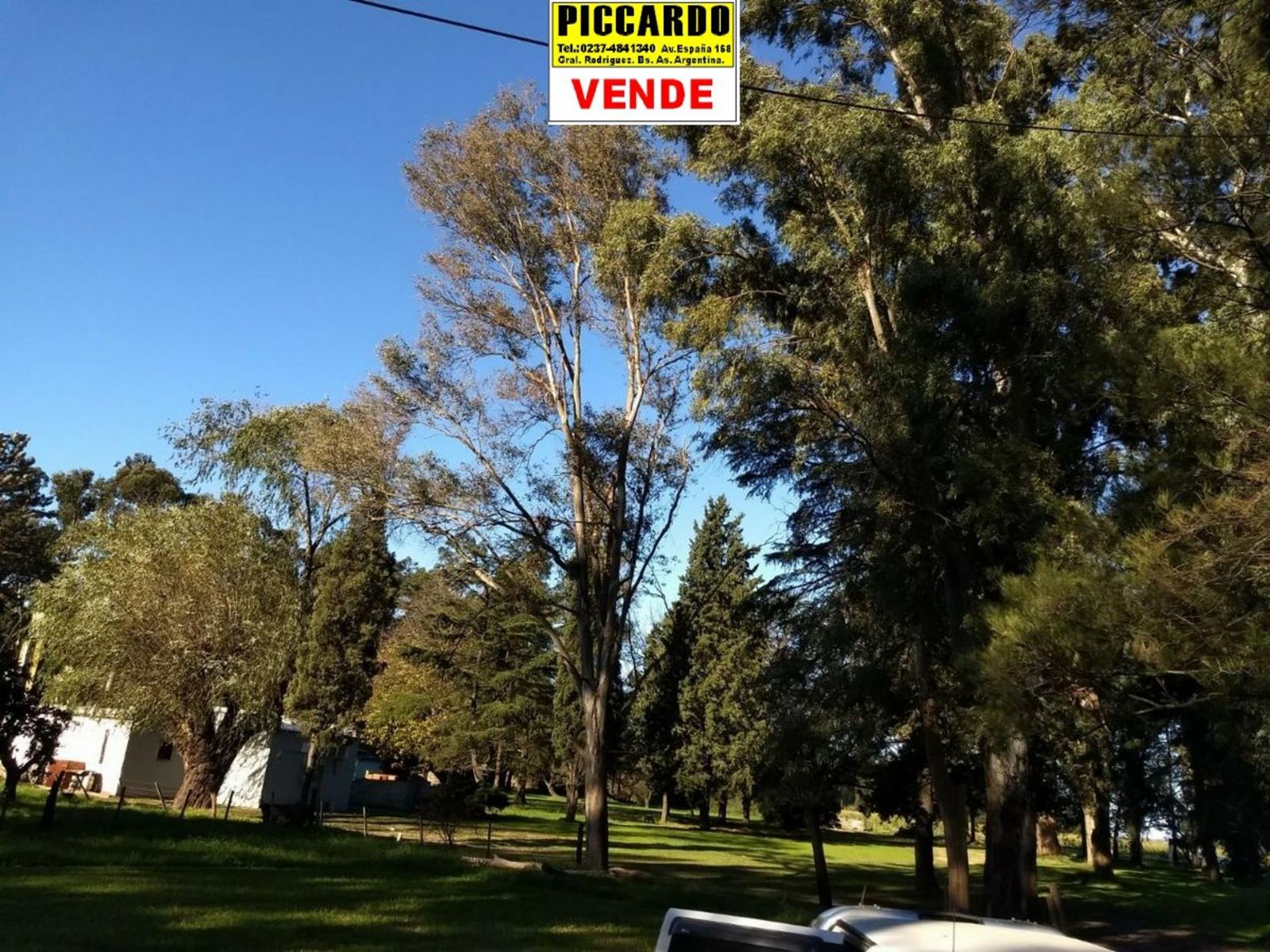 CAMPO FRACCIÓN 3 HAS CON CASAS Y GALPONES EN VENTA SOBRE RUTA 24 REF.1393 ZONA INDUSTRIAL. GRAL. RODRÍGUEZ PICCARDO - 16