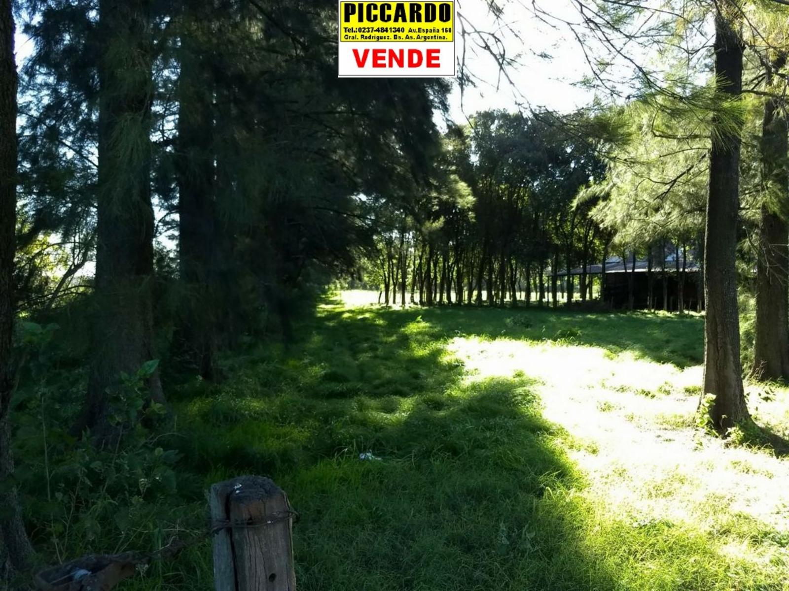 CAMPO FRACCIÓN 3 HAS CON CASAS Y GALPONES EN VENTA SOBRE RUTA 24 REF.1393 ZONA INDUSTRIAL. GRAL. RODRÍGUEZ PICCARDO - 18