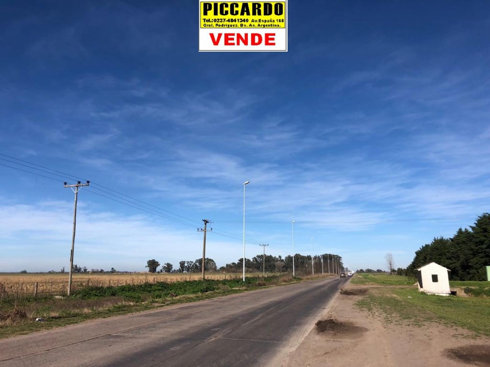 CAMPO FRACCIÓN 3 HAS CON CASAS Y GALPONES EN VENTA SOBRE RUTA 24 REF.1393 ZONA INDUSTRIAL. GRAL. RODRÍGUEZ PICCARDO - 20