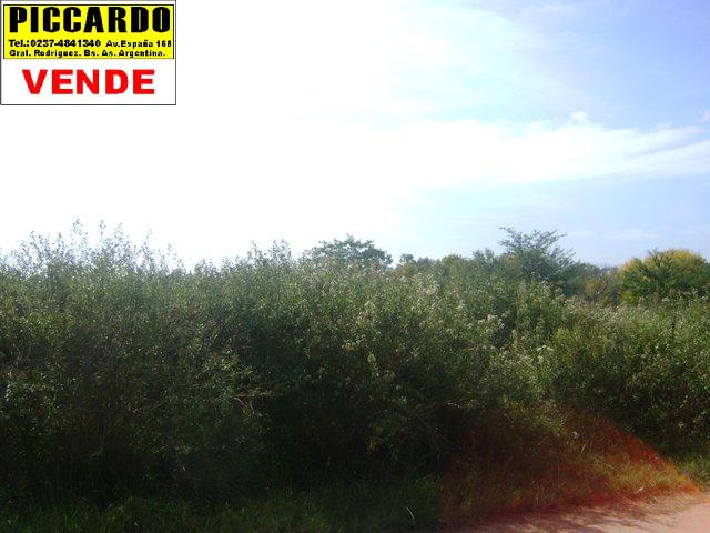 Lote terreno en venta B Parque Joly Gral. Rodríguez Piccardo — foto 2
