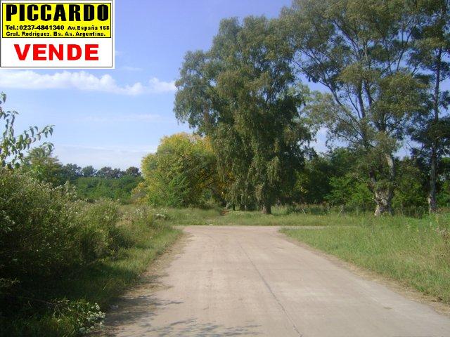 Lote terreno en venta B Parque Joly Gral. Rodríguez Piccardo — foto 3