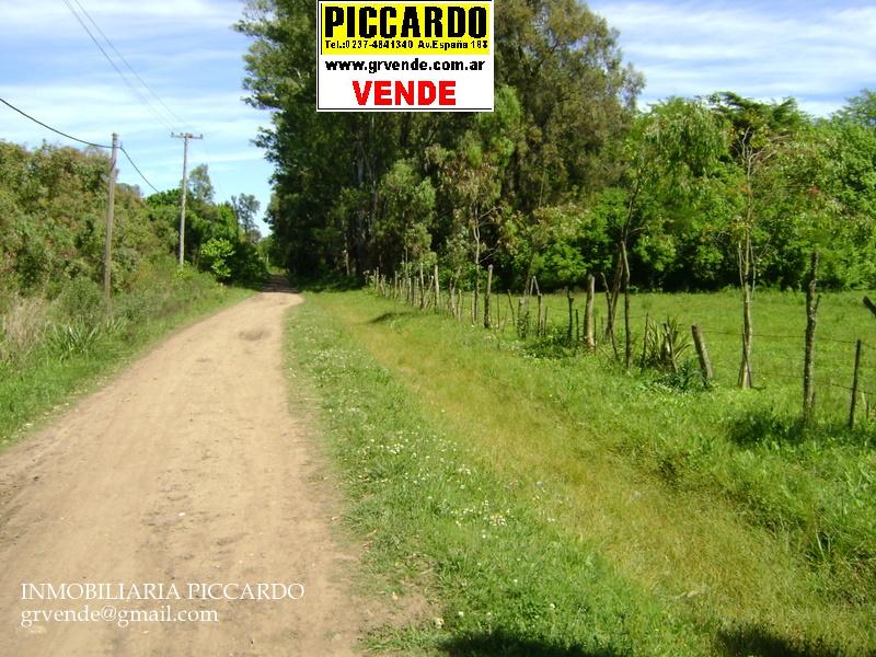 Lote fracción en venta Gral. Rodríguez B Hermoso Piccardo — foto 6
