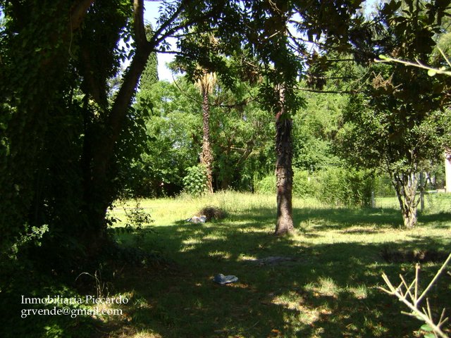 Lote en venta Gral. Rodriguez B Hermoso parada la mami Piccardo — foto 2
