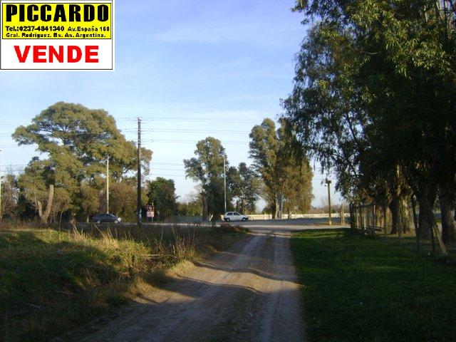 2 Lotes en venta B San Enrique Gral. Rodríguez Piccardo — foto 3