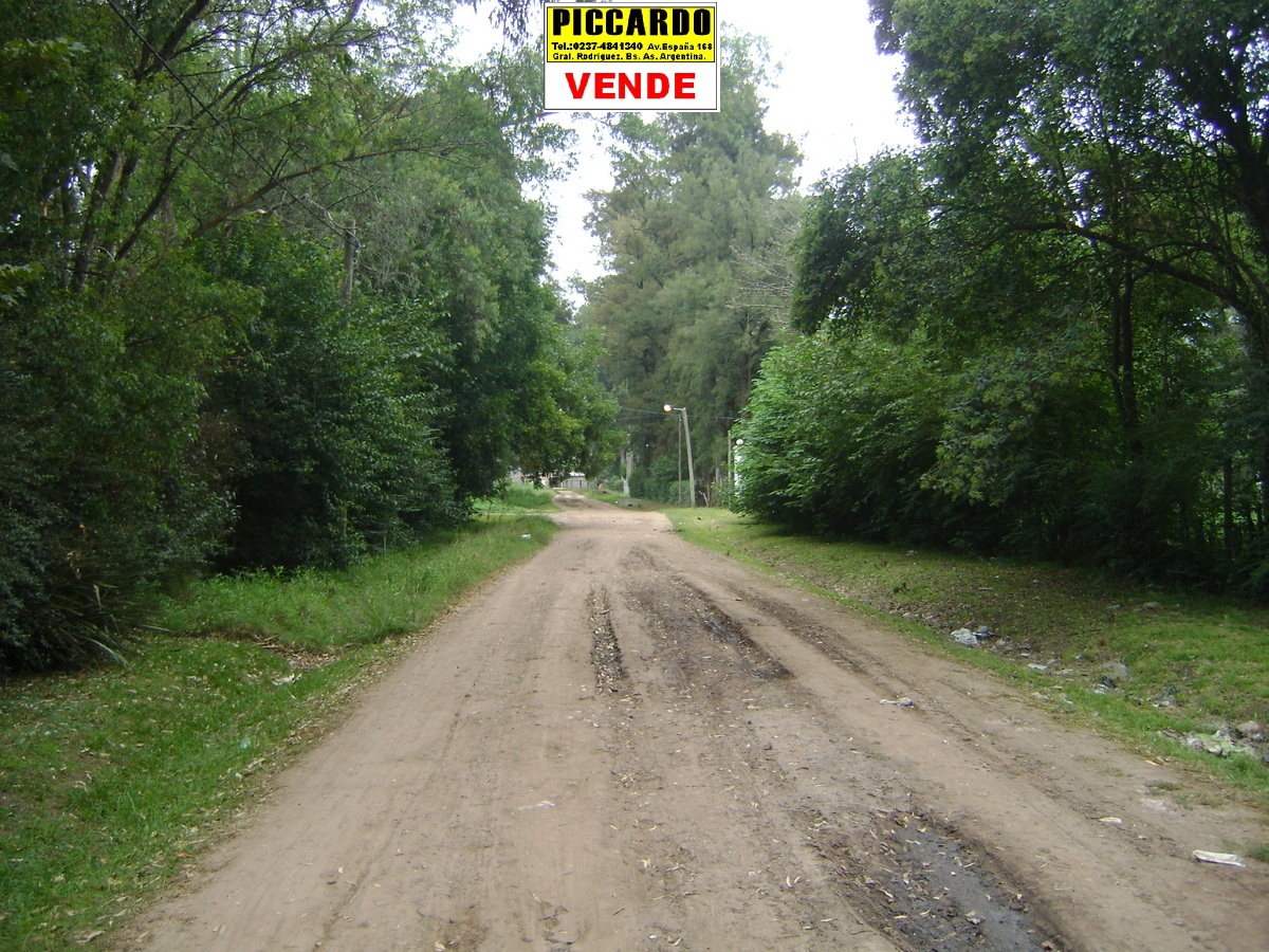Dos Lotes Terrenos en venta B Villa Vengochea Gral Rodriguez Piccardo. — foto 2