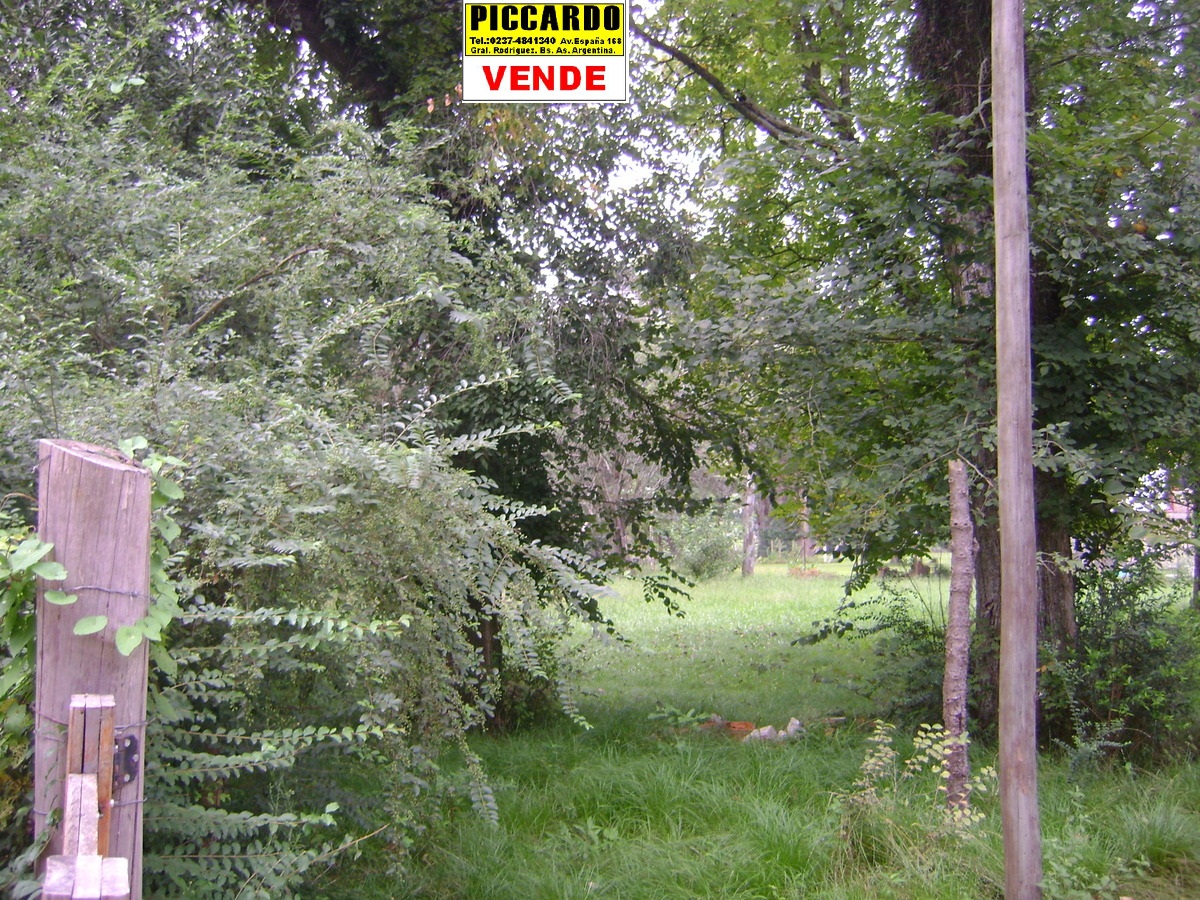 Dos Lotes Terrenos en venta B Villa Vengochea Gral Rodriguez Piccardo. — foto 4