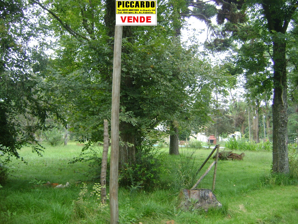 Dos Lotes Terrenos en venta B Villa Vengochea Gral Rodriguez Piccardo. — foto 5