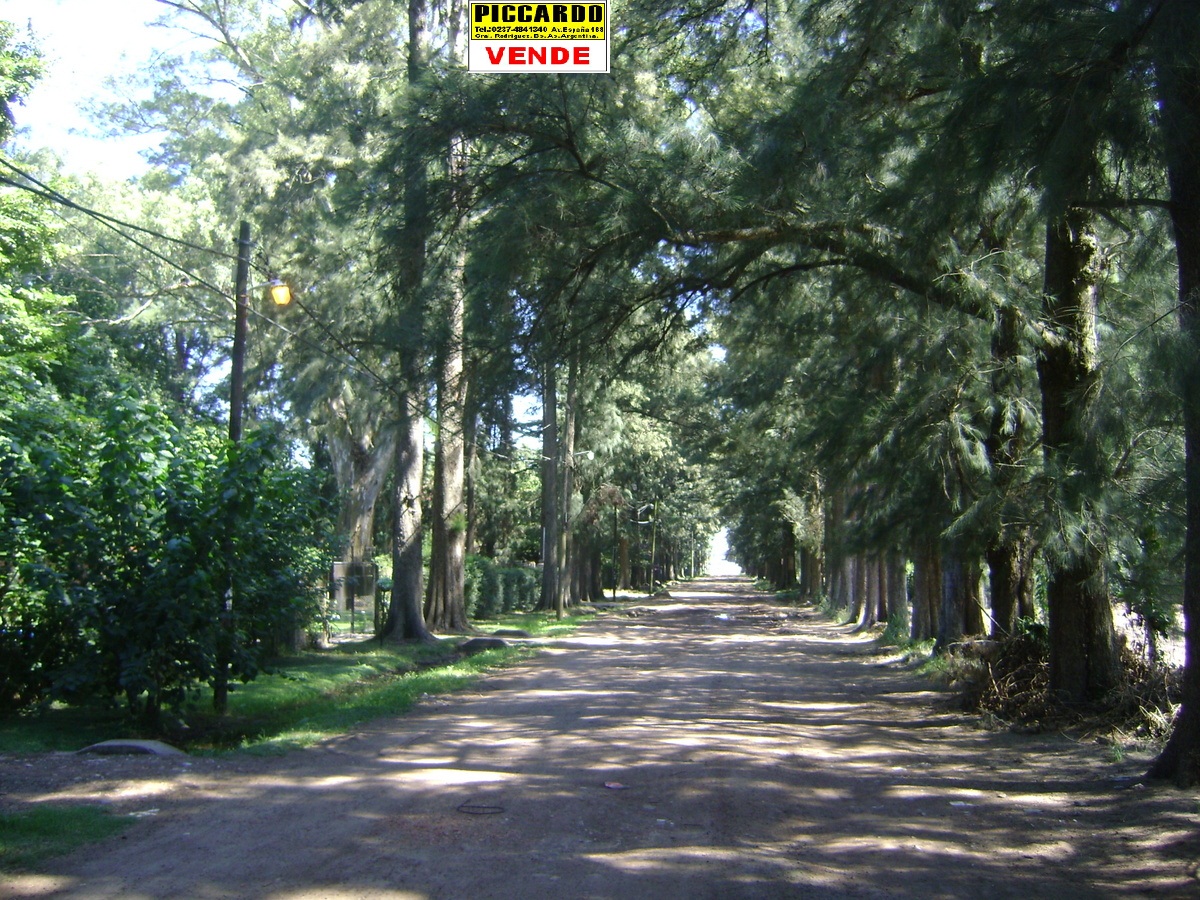 Lote Terreno en venta B El Casco Gral. Rodriguez Piccardo. — foto 2