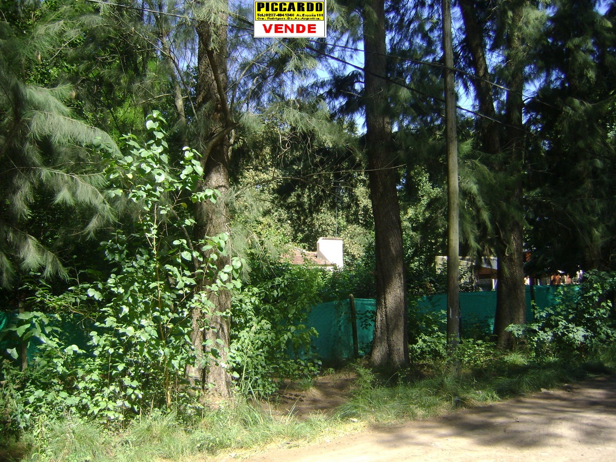 Lote Terreno en venta B El Casco Gral. Rodriguez Piccardo. — foto 3