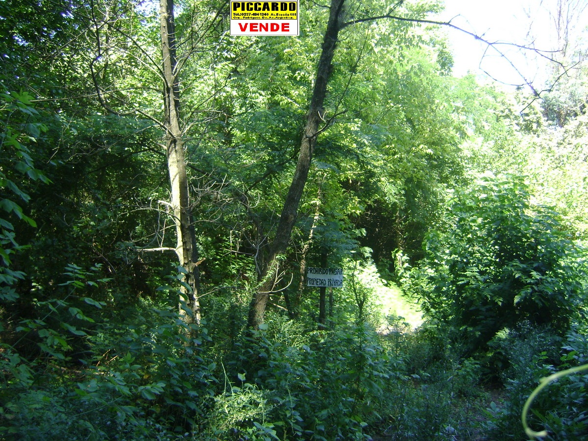 Lote Terreno en venta B El Casco Gral. Rodriguez Piccardo. — foto 4