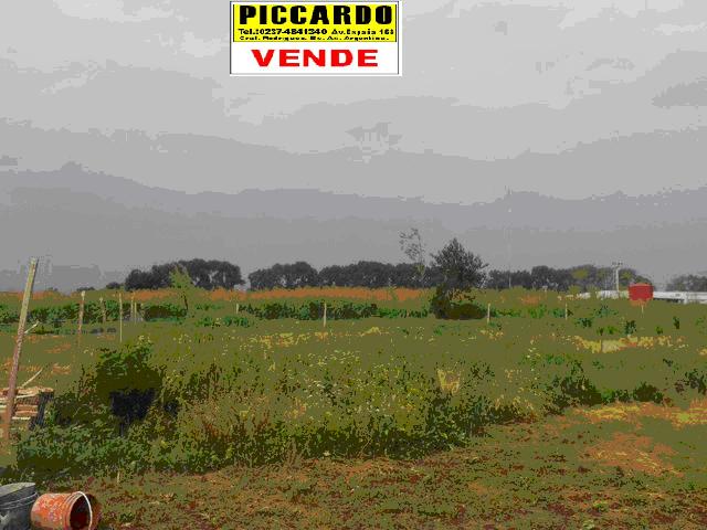 Lote terreno en venta en Bº Los Aromos Gral. Rodriguez Piccardo. — foto 2