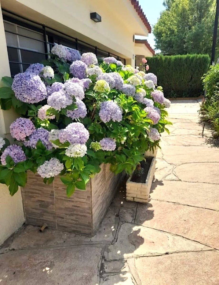 Casa de 2 DORMIT. Impecable en Exc. Ubicación en San Antonio de Arredondo. — foto 13