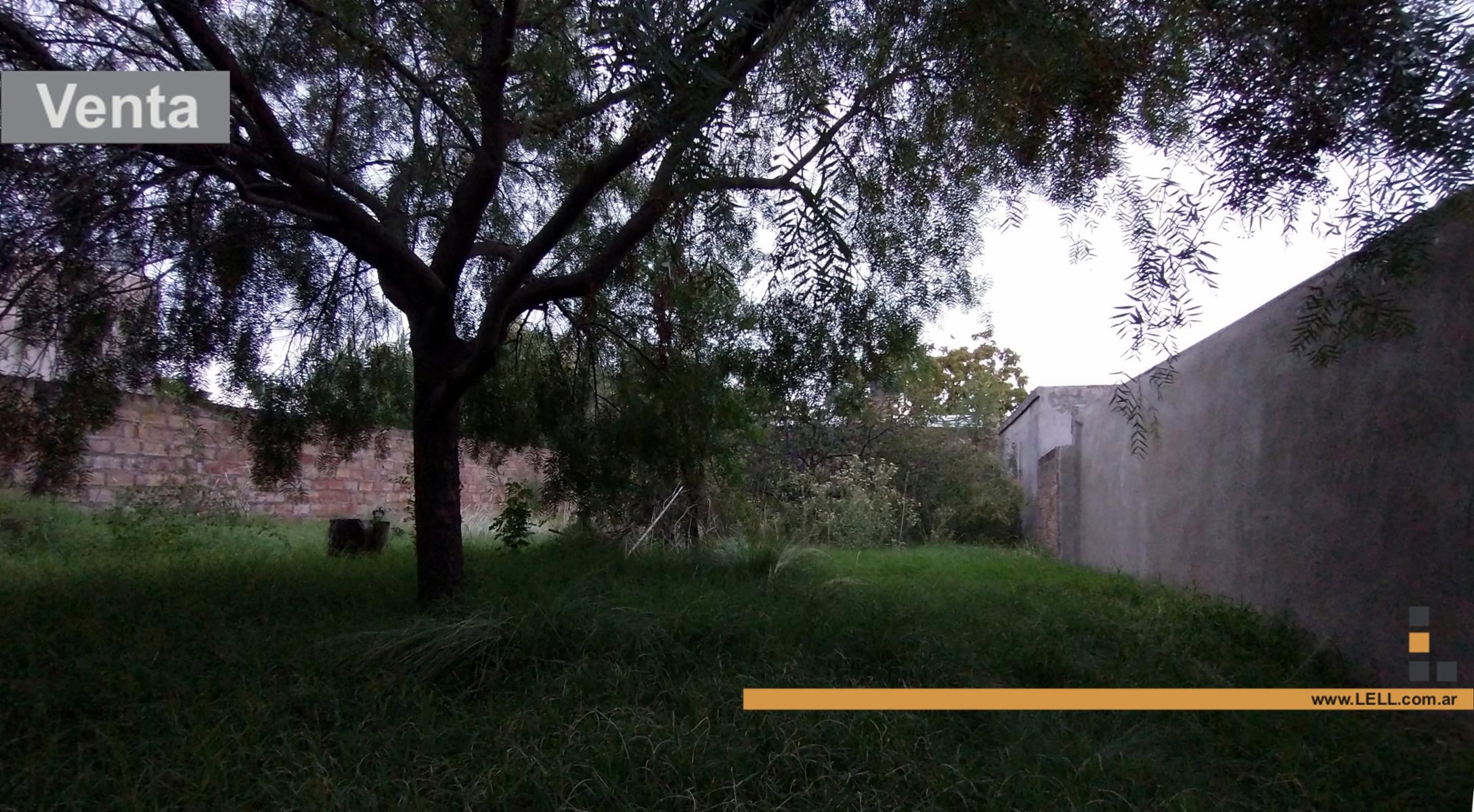 Casa 2 dorm. sobre Edison amplio terreno — foto 6