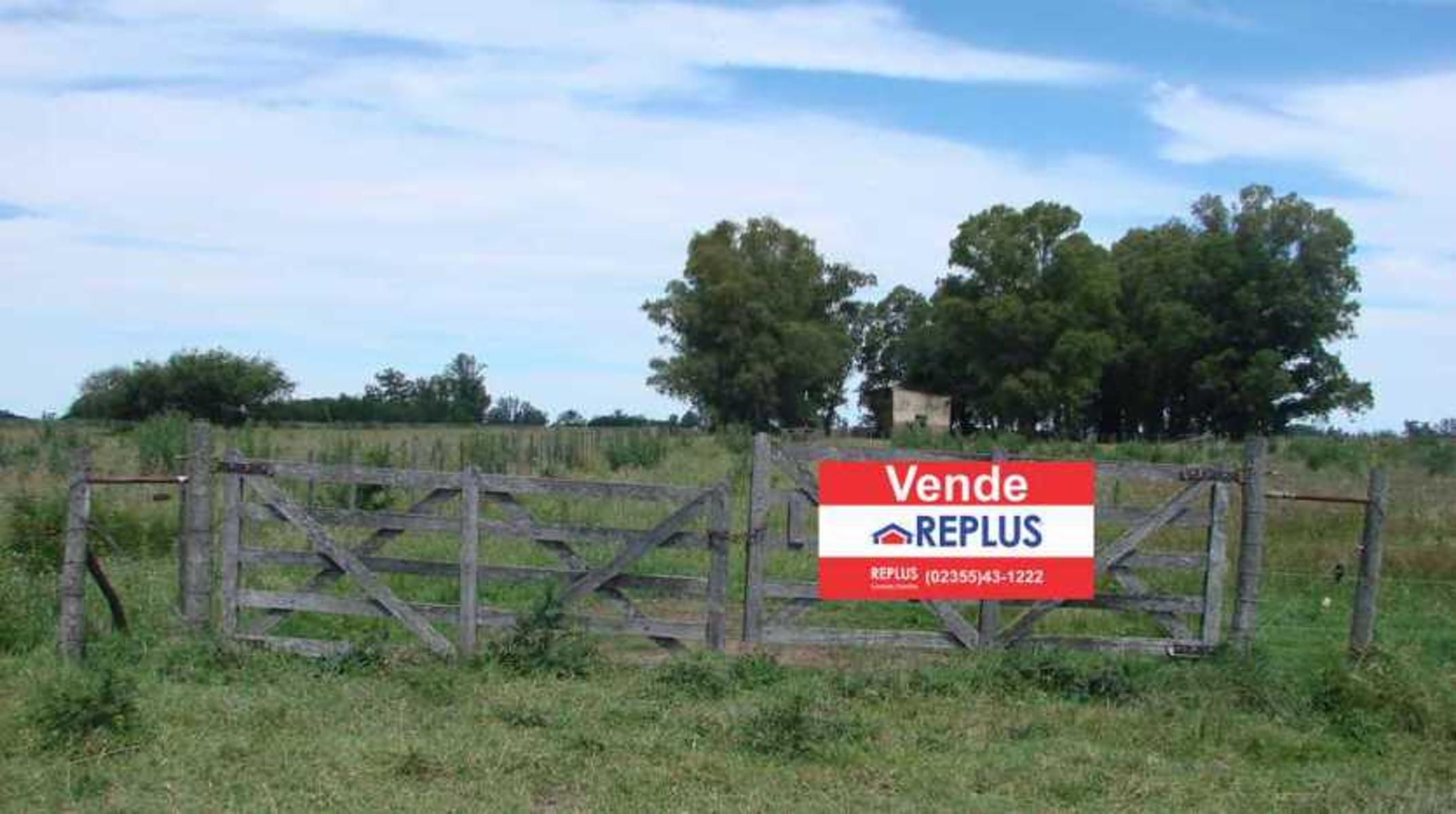 CAMPO EN VENTA EN LINCOLN - 1