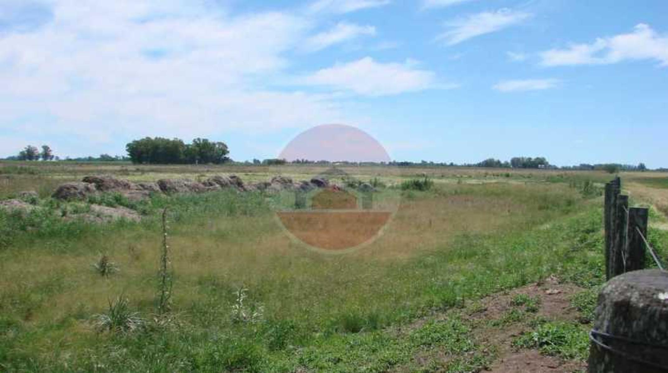 CAMPO EN VENTA EN LINCOLN - 2