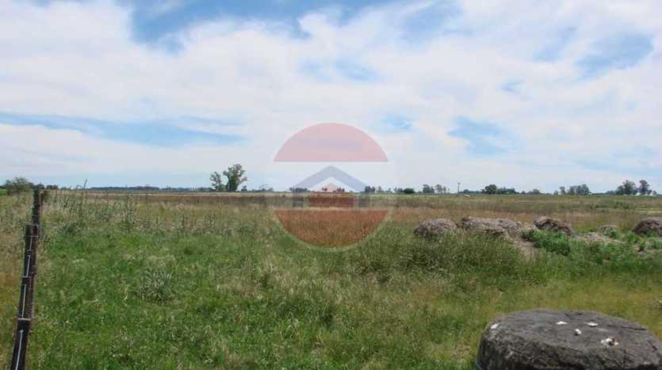 CAMPO EN VENTA EN LINCOLN - 3