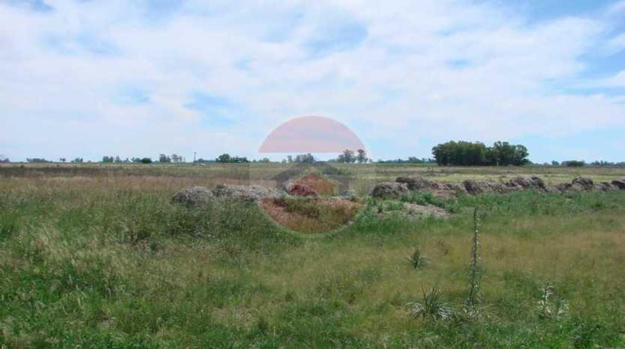 CAMPO EN VENTA EN LINCOLN - 4