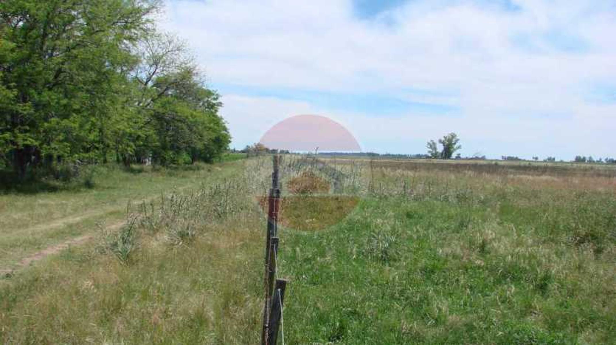 CAMPO EN VENTA EN LINCOLN - 5