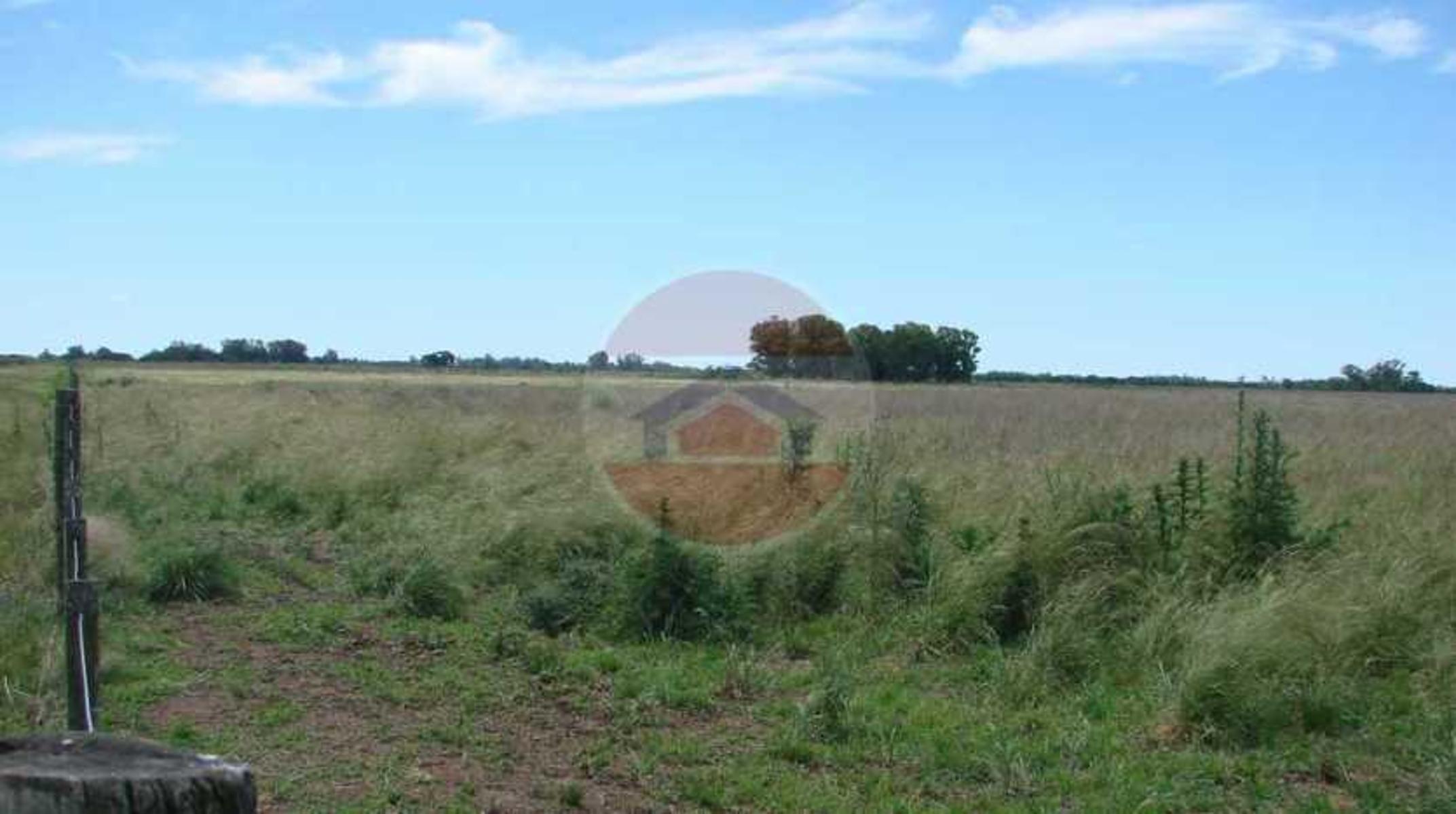 CAMPO EN VENTA EN LINCOLN - 6