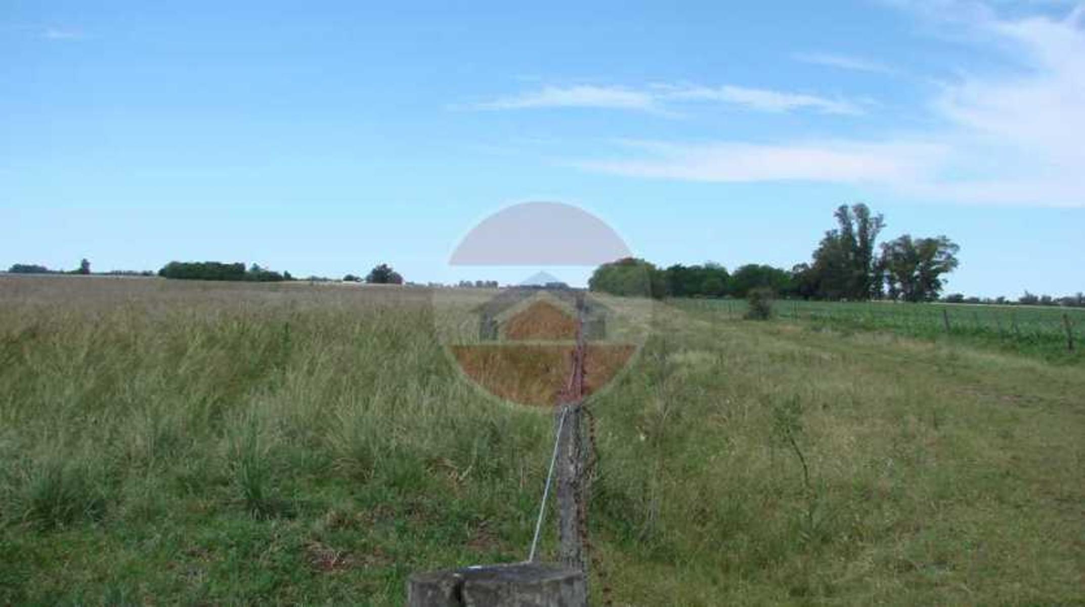CAMPO EN VENTA EN LINCOLN - 7