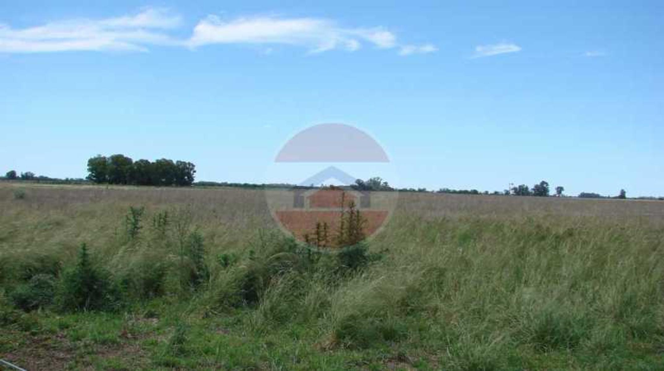CAMPO EN VENTA EN LINCOLN - 8