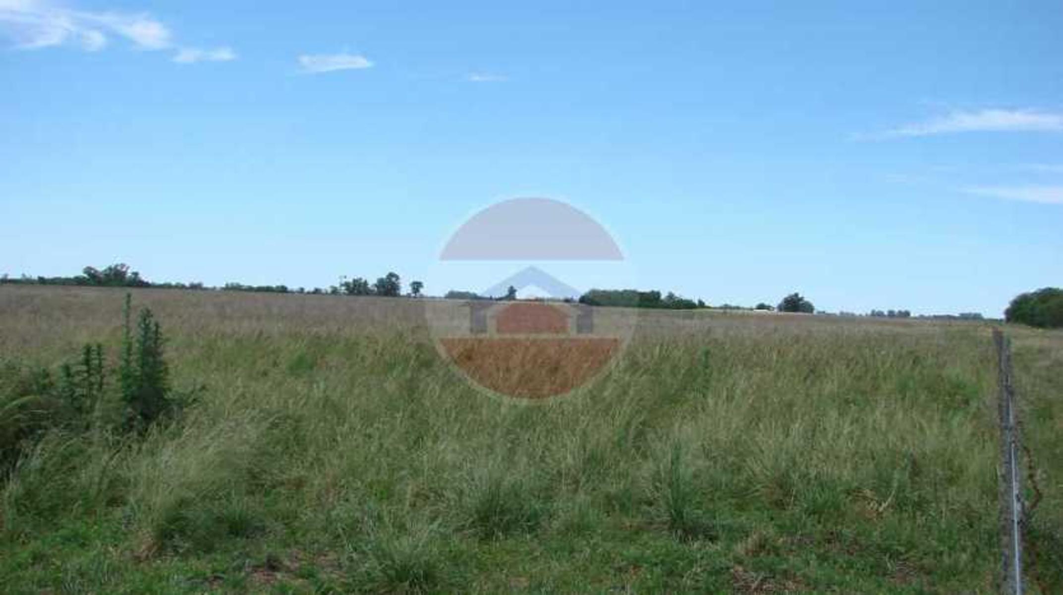 CAMPO EN VENTA EN LINCOLN - 9