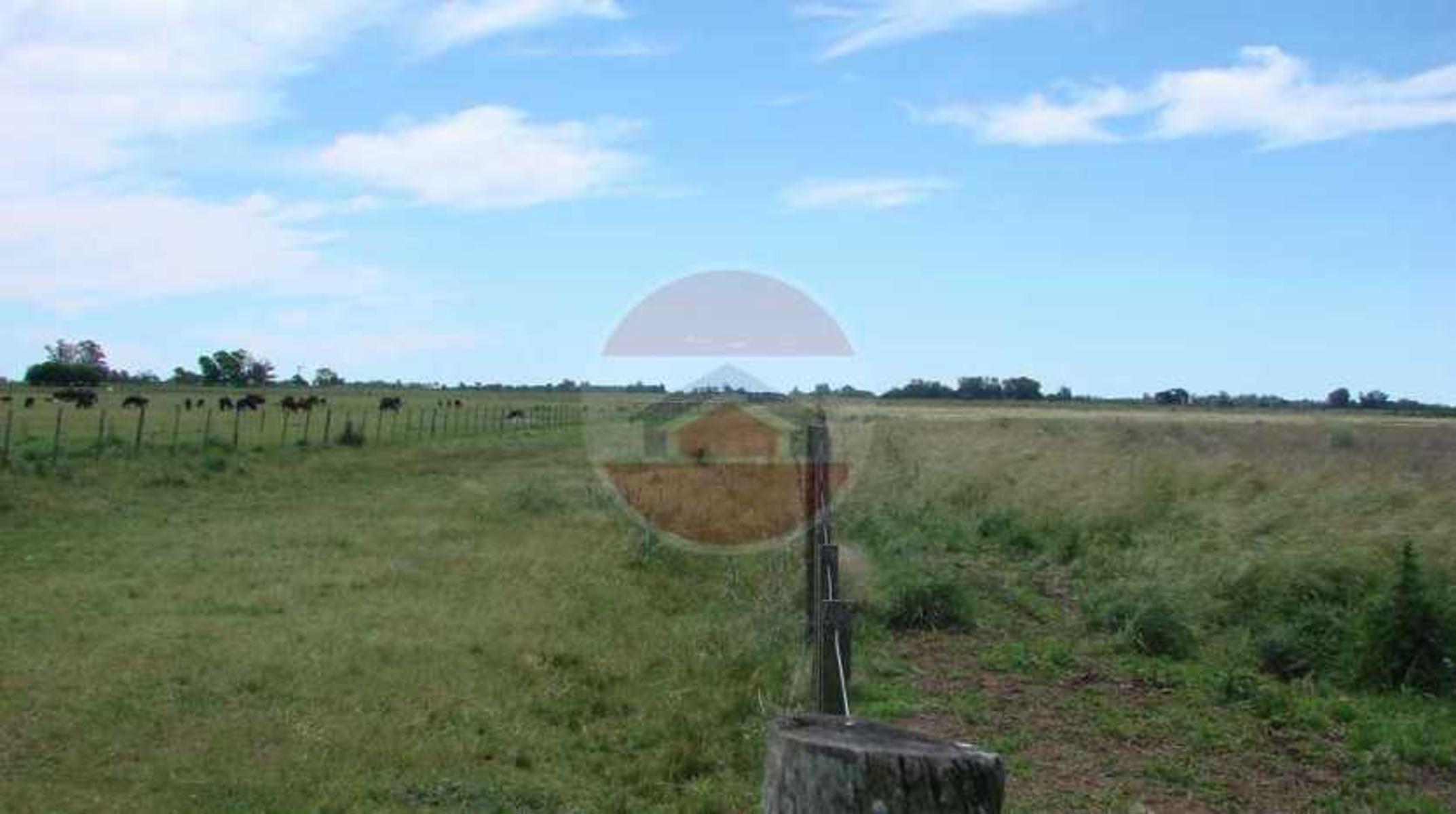 CAMPO EN VENTA EN LINCOLN - 10