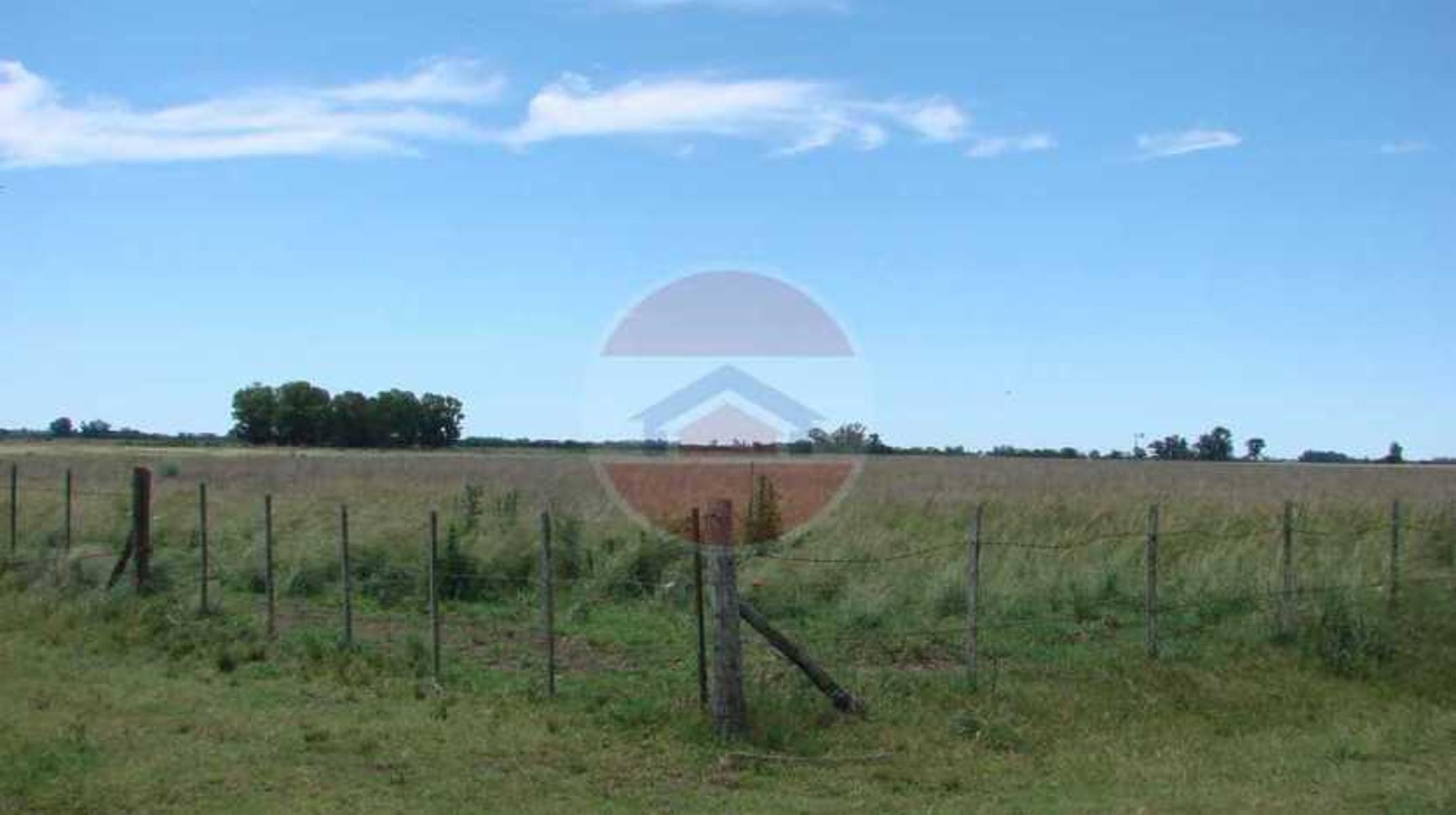CAMPO EN VENTA EN LINCOLN - 11
