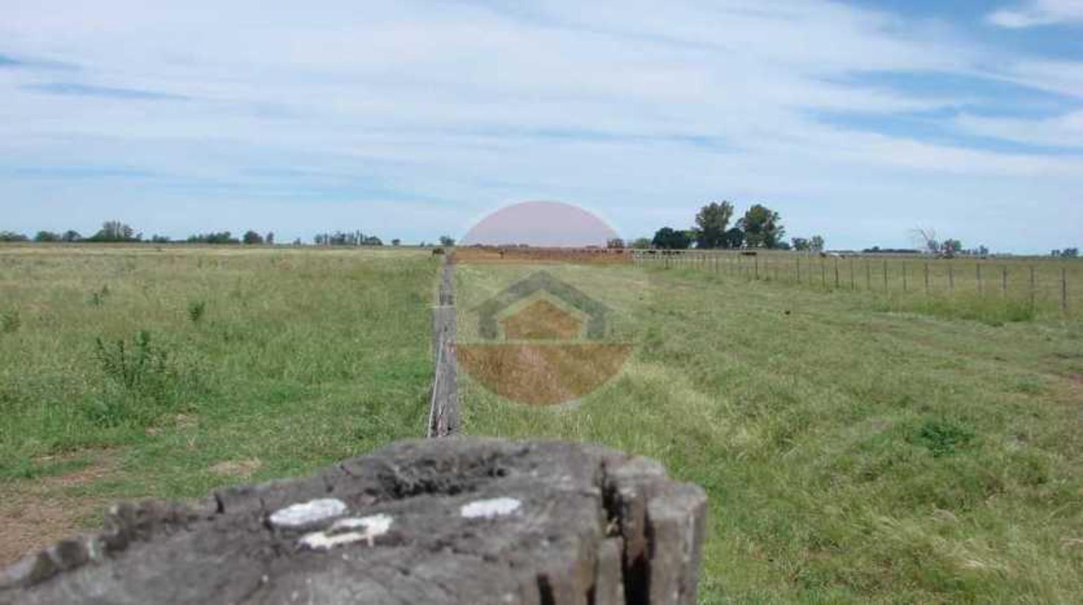 CAMPO EN VENTA EN LINCOLN - 13