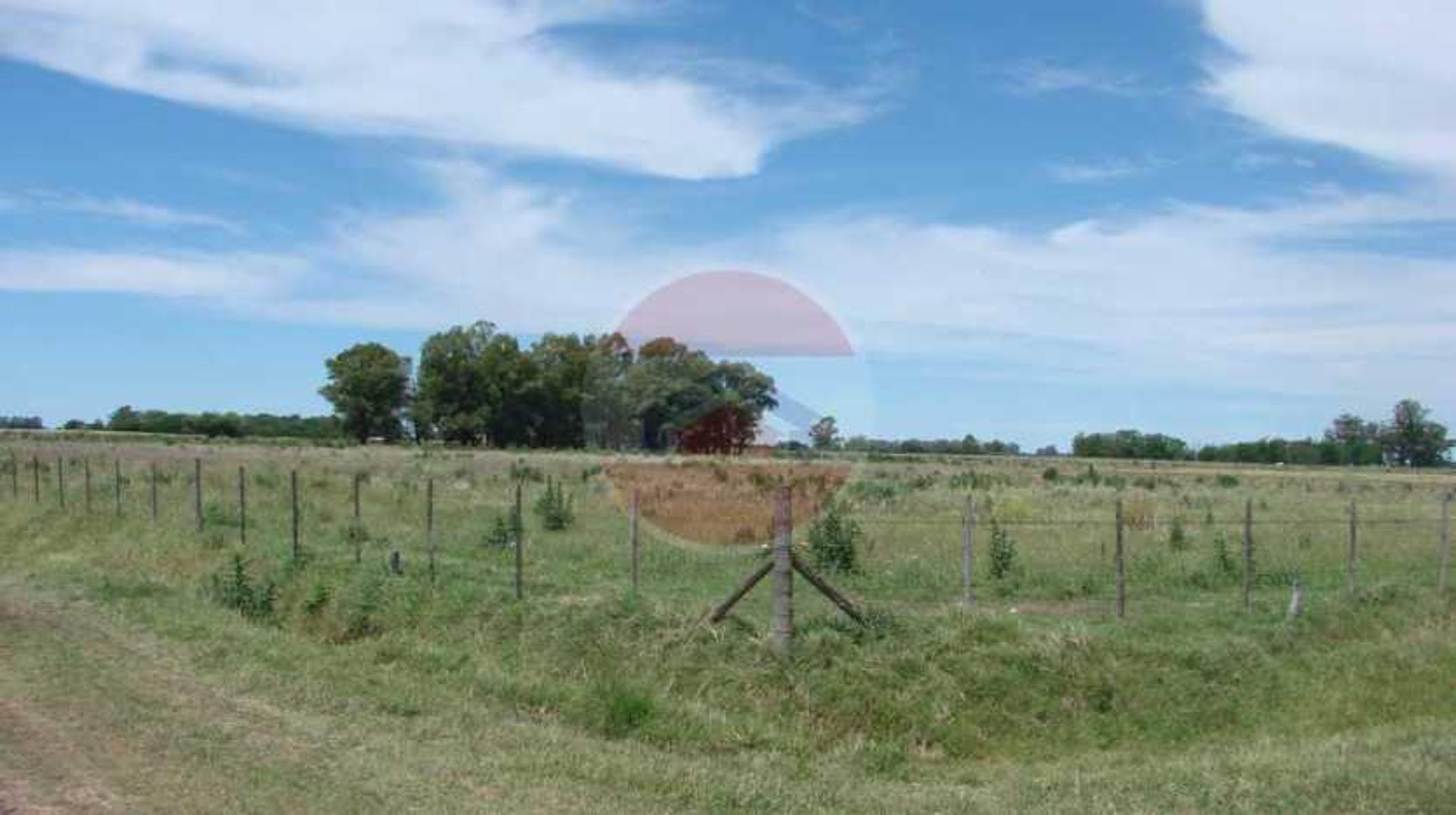 CAMPO EN VENTA EN LINCOLN - 14