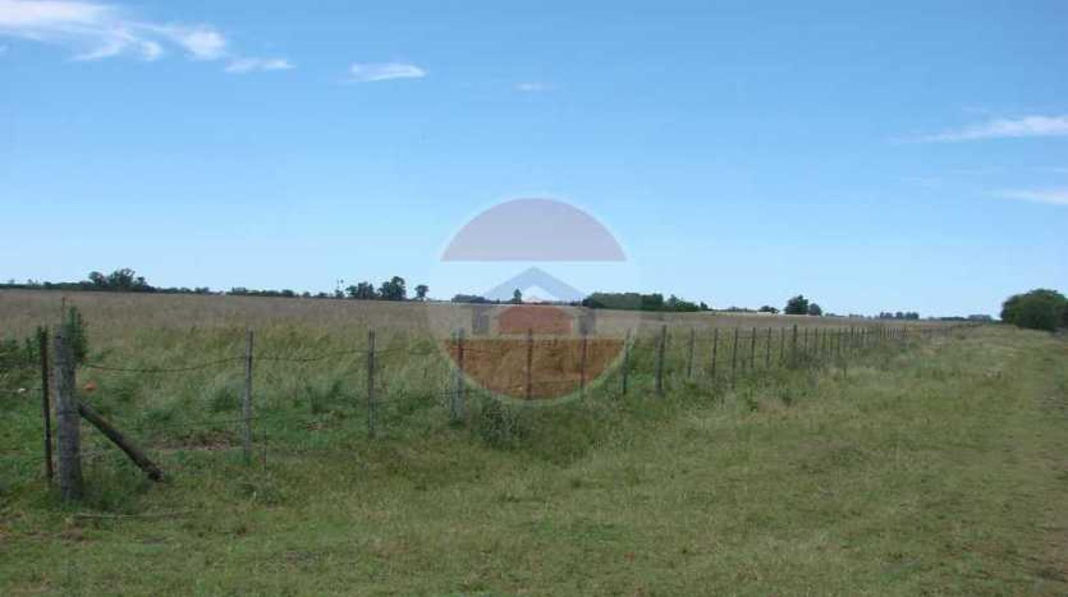 CAMPO EN VENTA EN LINCOLN - 15