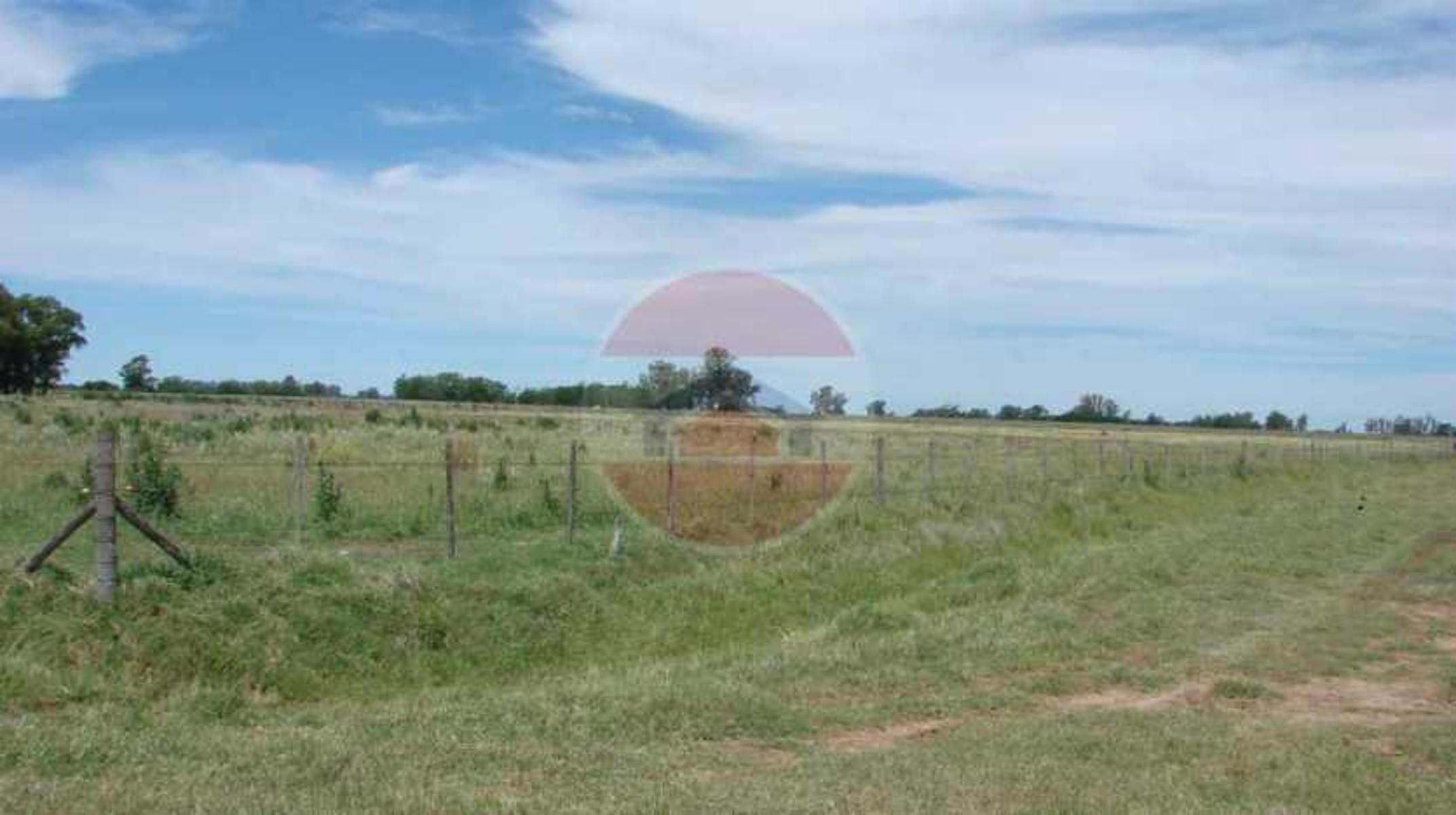 CAMPO EN VENTA EN LINCOLN - 16