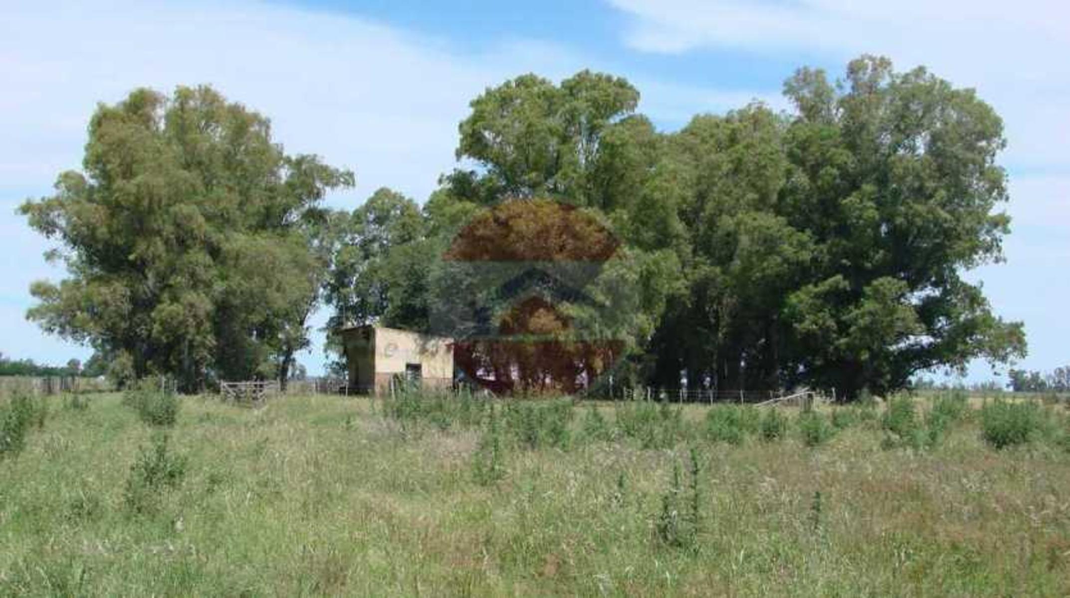 CAMPO EN VENTA EN LINCOLN - 17