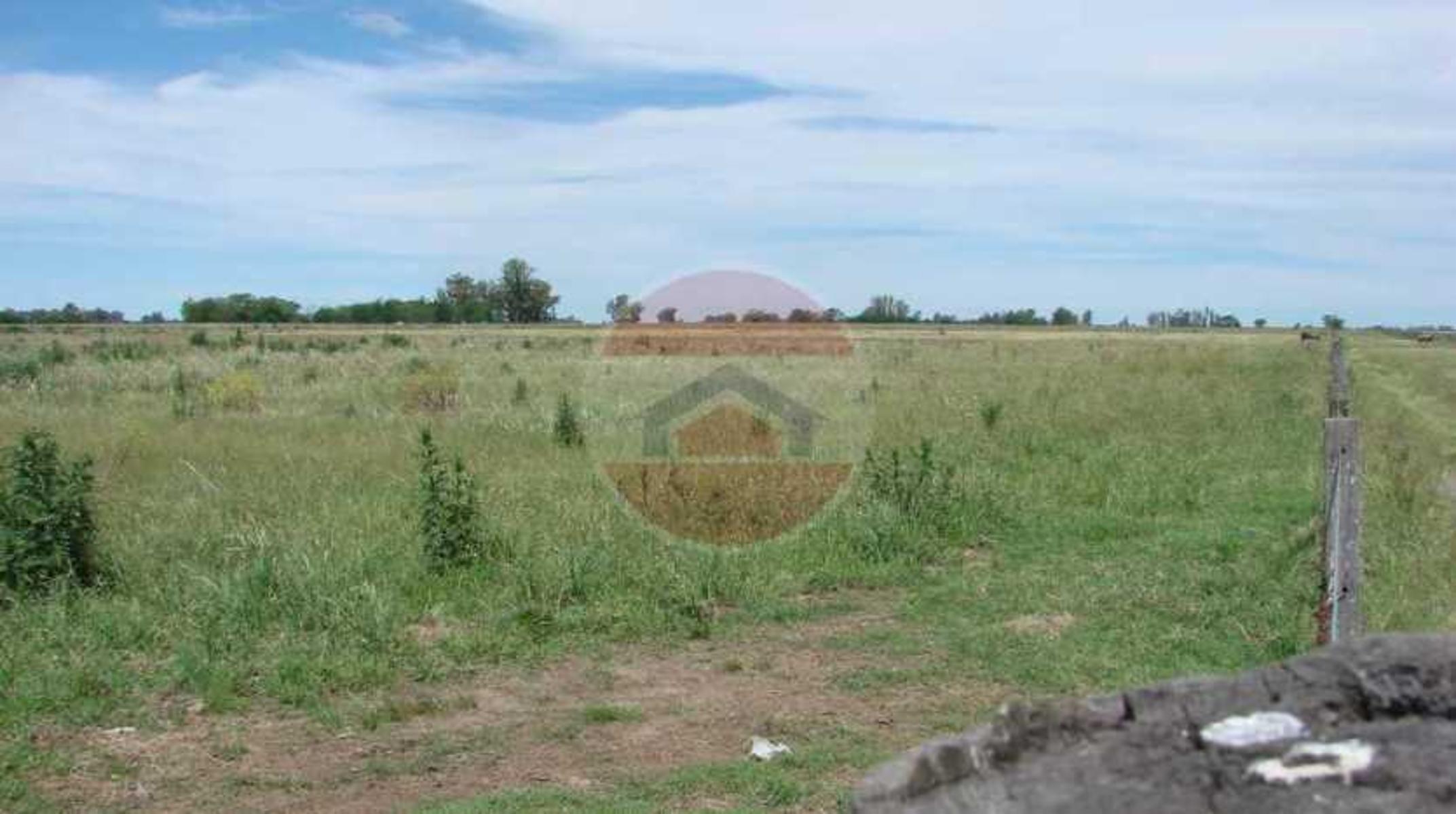 CAMPO EN VENTA EN LINCOLN - 18