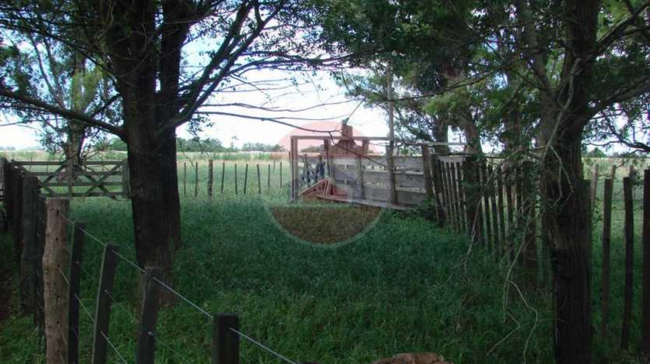 CAMPO EN VENTA EN LINCOLN - 19