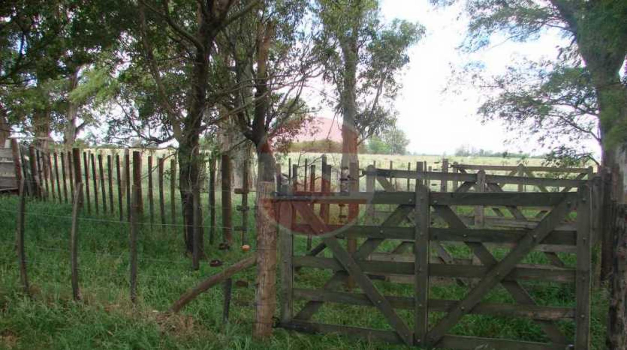 CAMPO EN VENTA EN LINCOLN - 20
