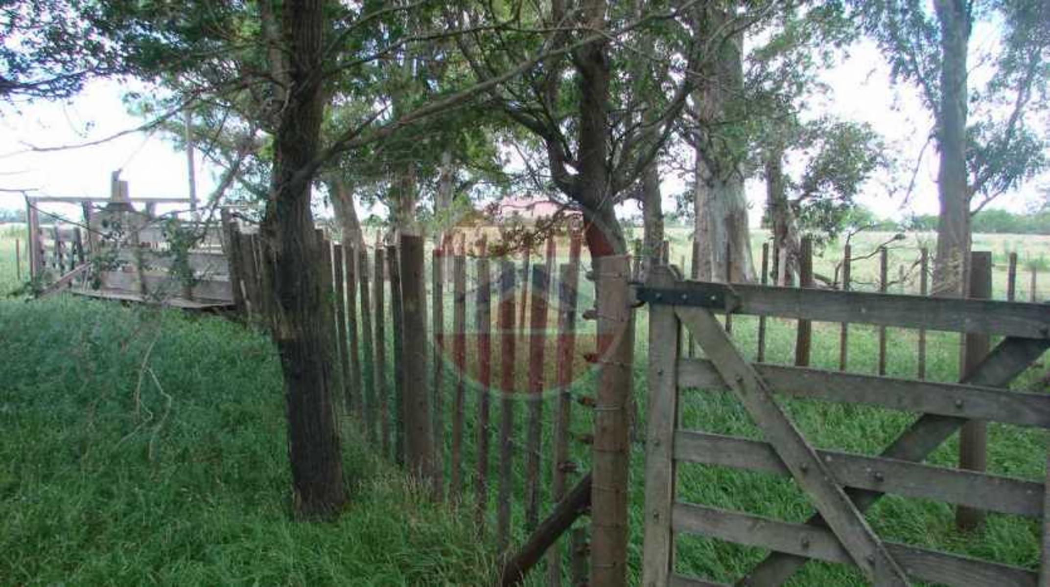CAMPO EN VENTA EN LINCOLN - 21
