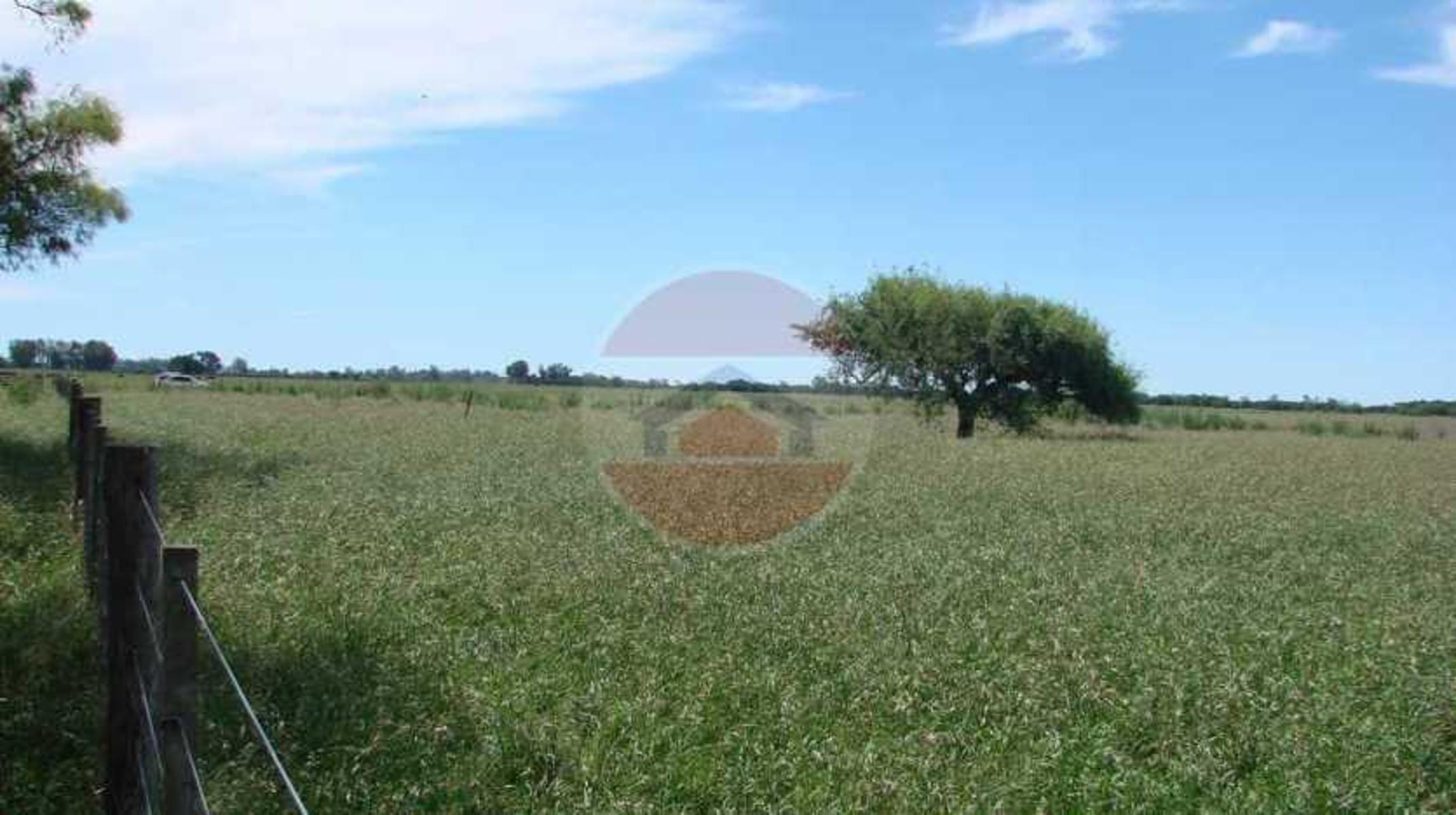 CAMPO EN VENTA EN LINCOLN - 22