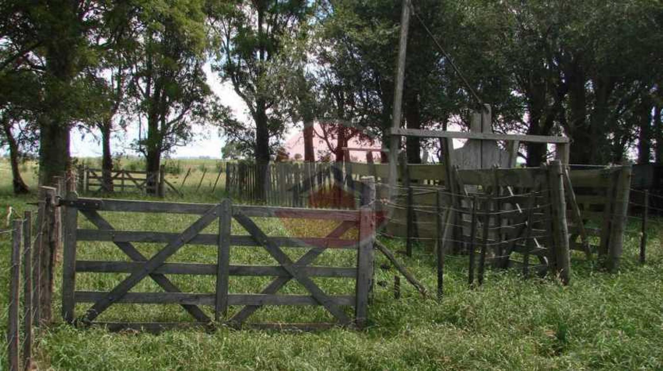 CAMPO EN VENTA EN LINCOLN - 23