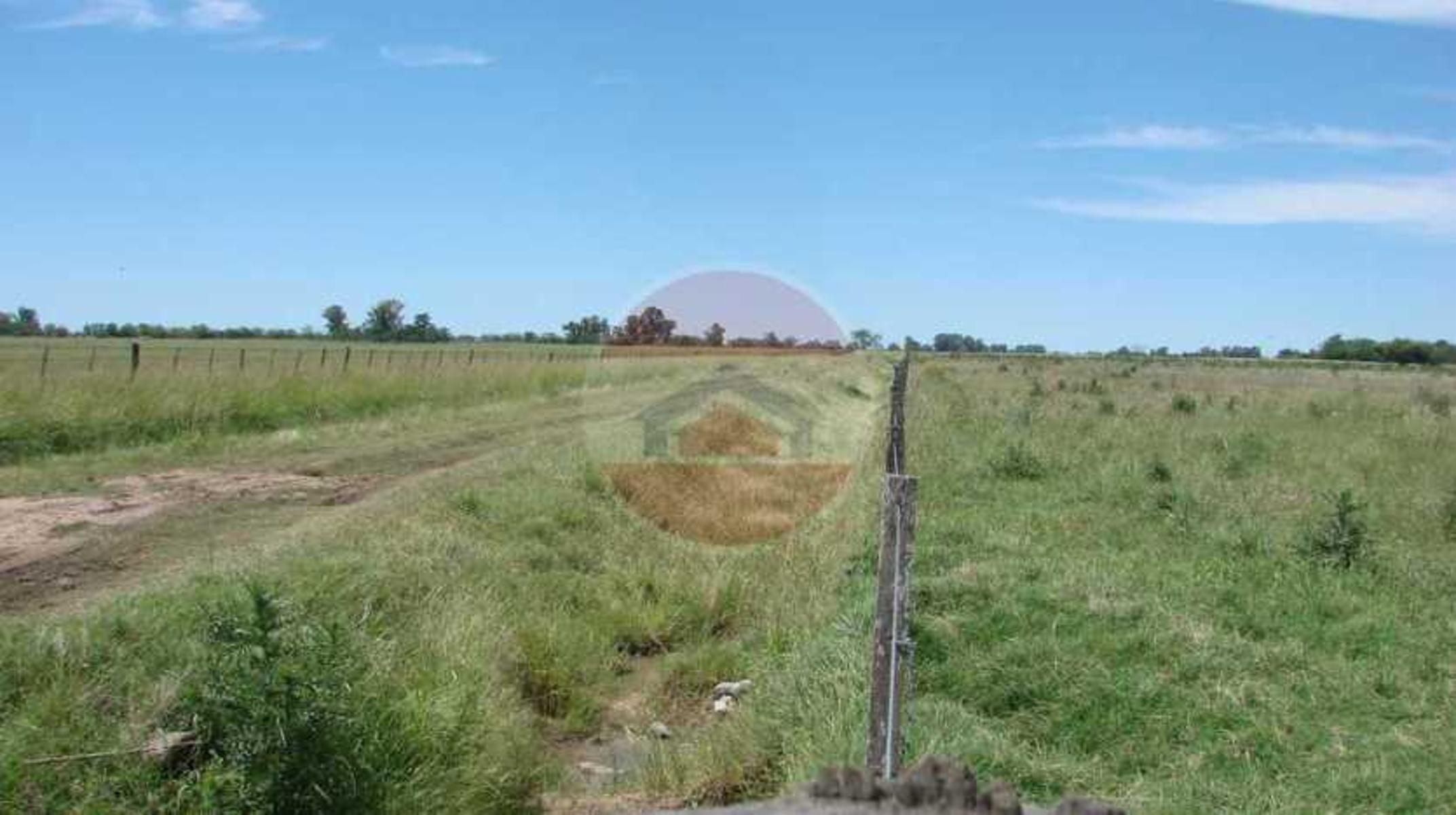 CAMPO EN VENTA EN LINCOLN - 25