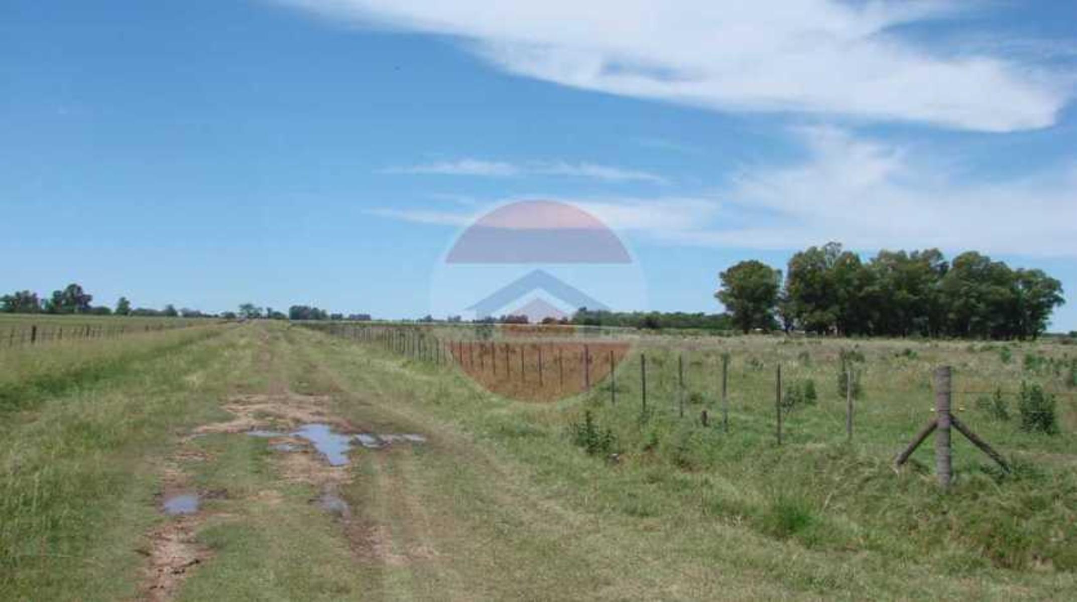 CAMPO EN VENTA EN LINCOLN - 26