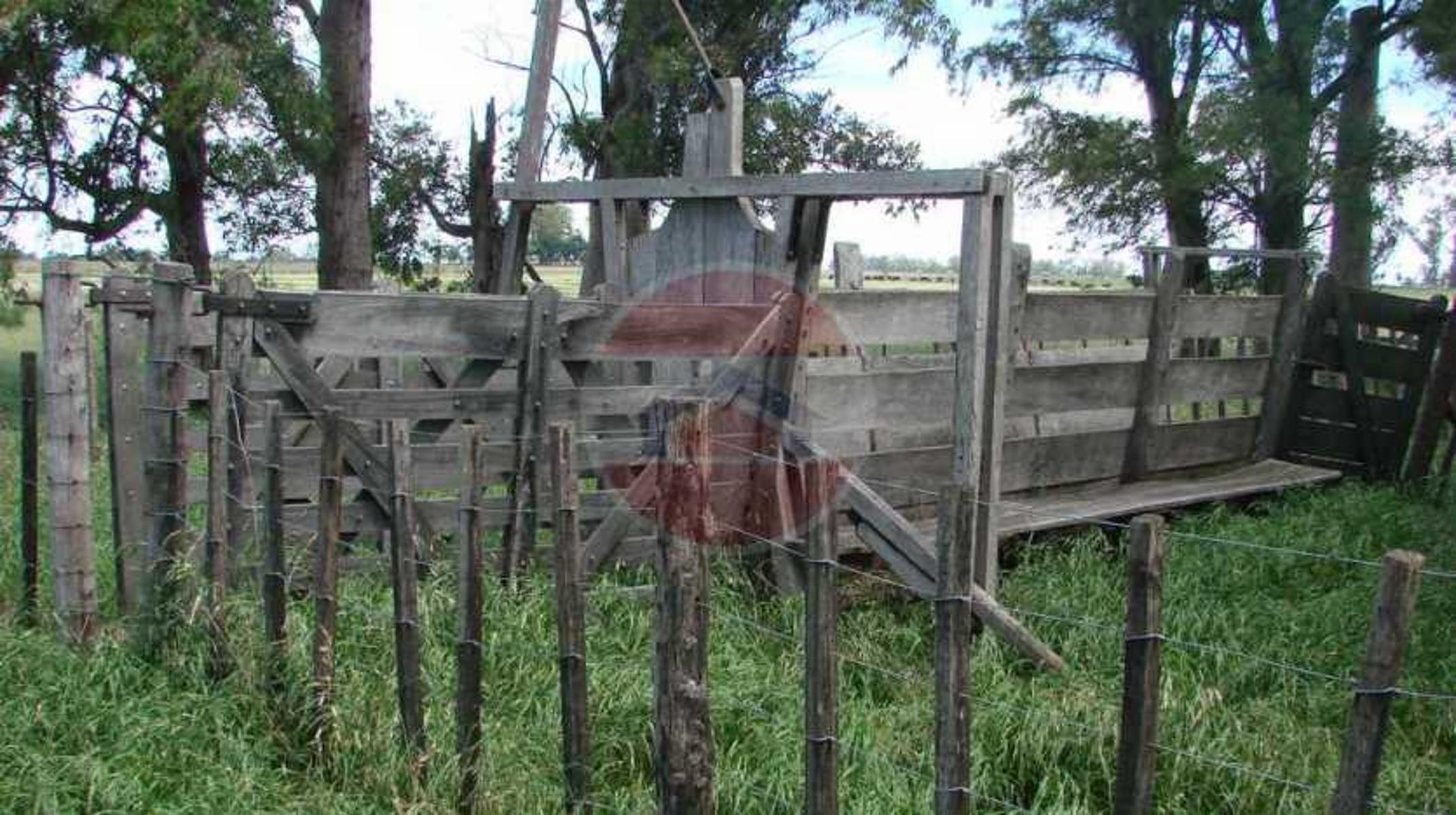 CAMPO EN VENTA EN LINCOLN - 27