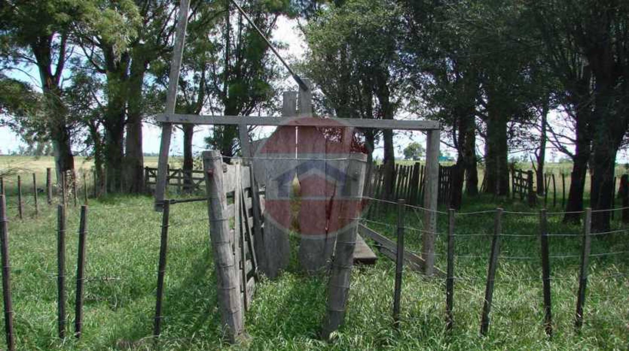 CAMPO EN VENTA EN LINCOLN - 28