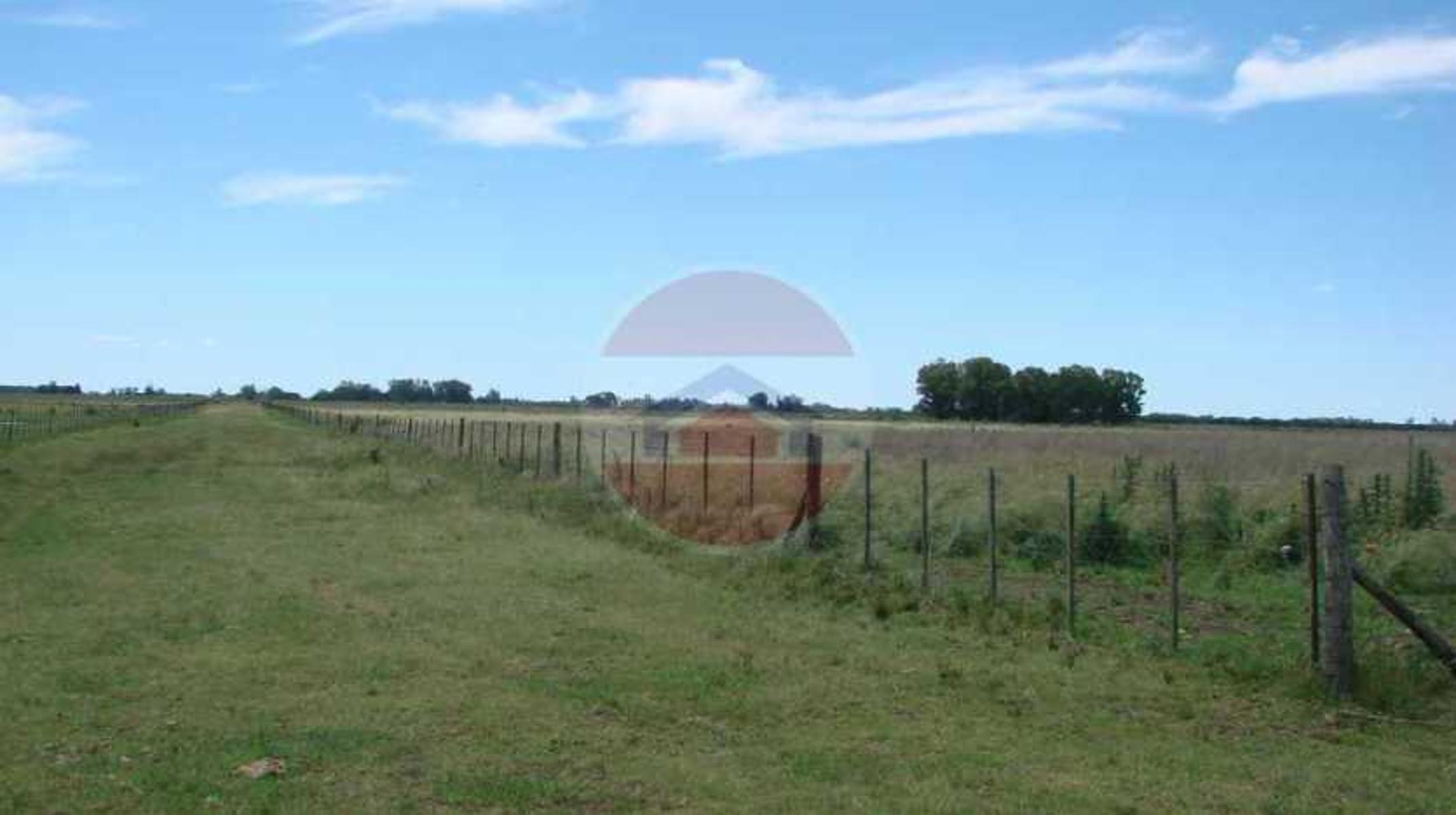 CAMPO EN VENTA EN LINCOLN - 30