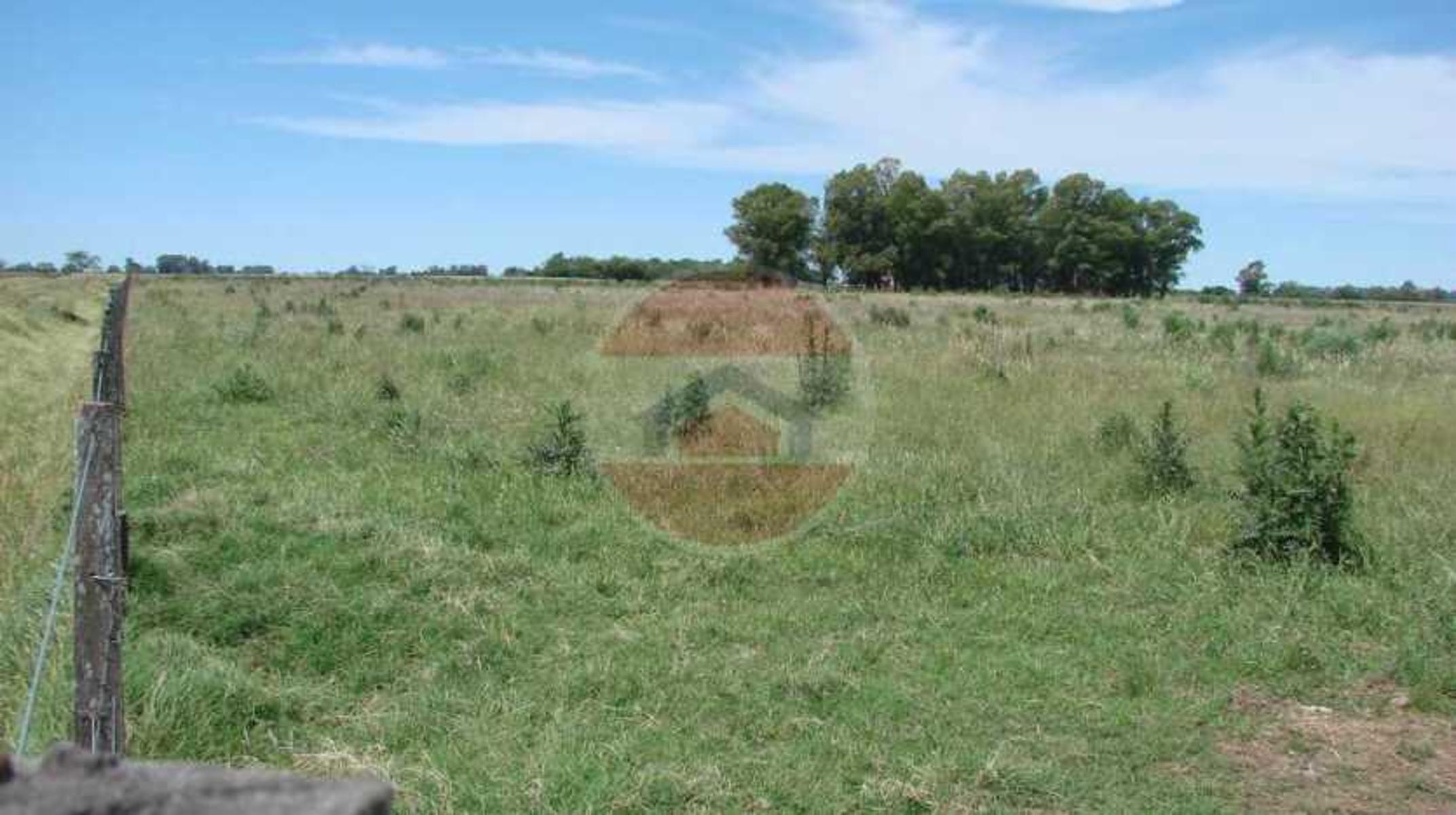 CAMPO EN VENTA EN LINCOLN - 31