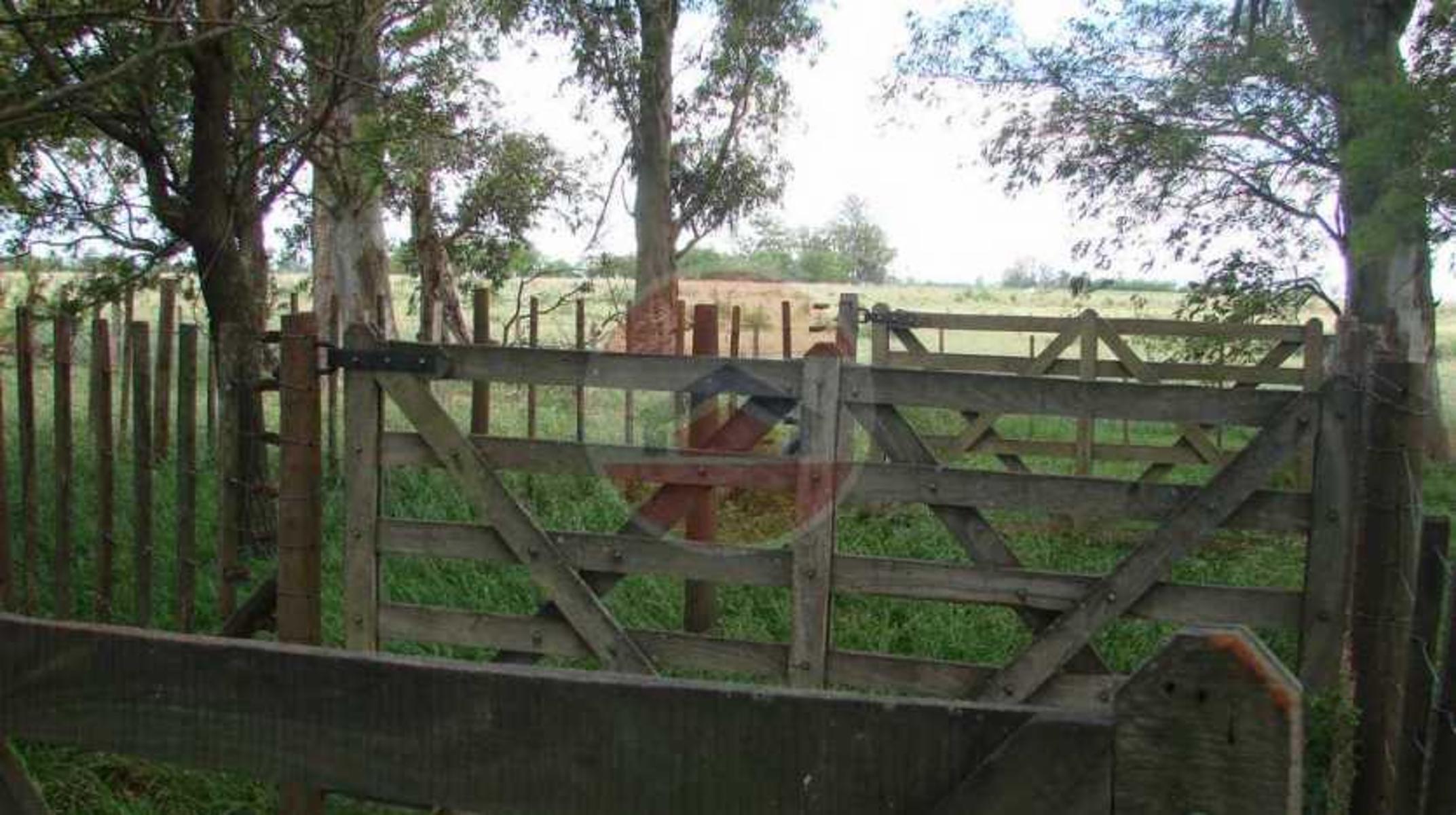CAMPO EN VENTA EN LINCOLN - 32
