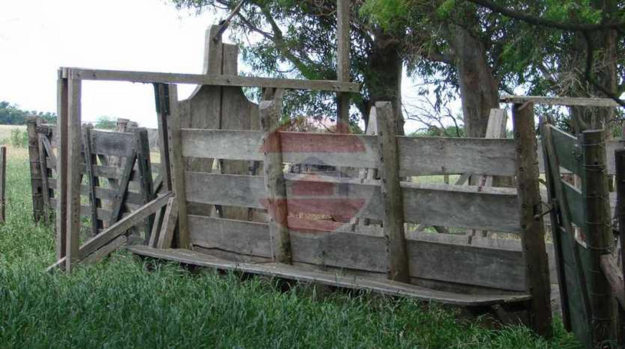 CAMPO EN VENTA EN LINCOLN - 33