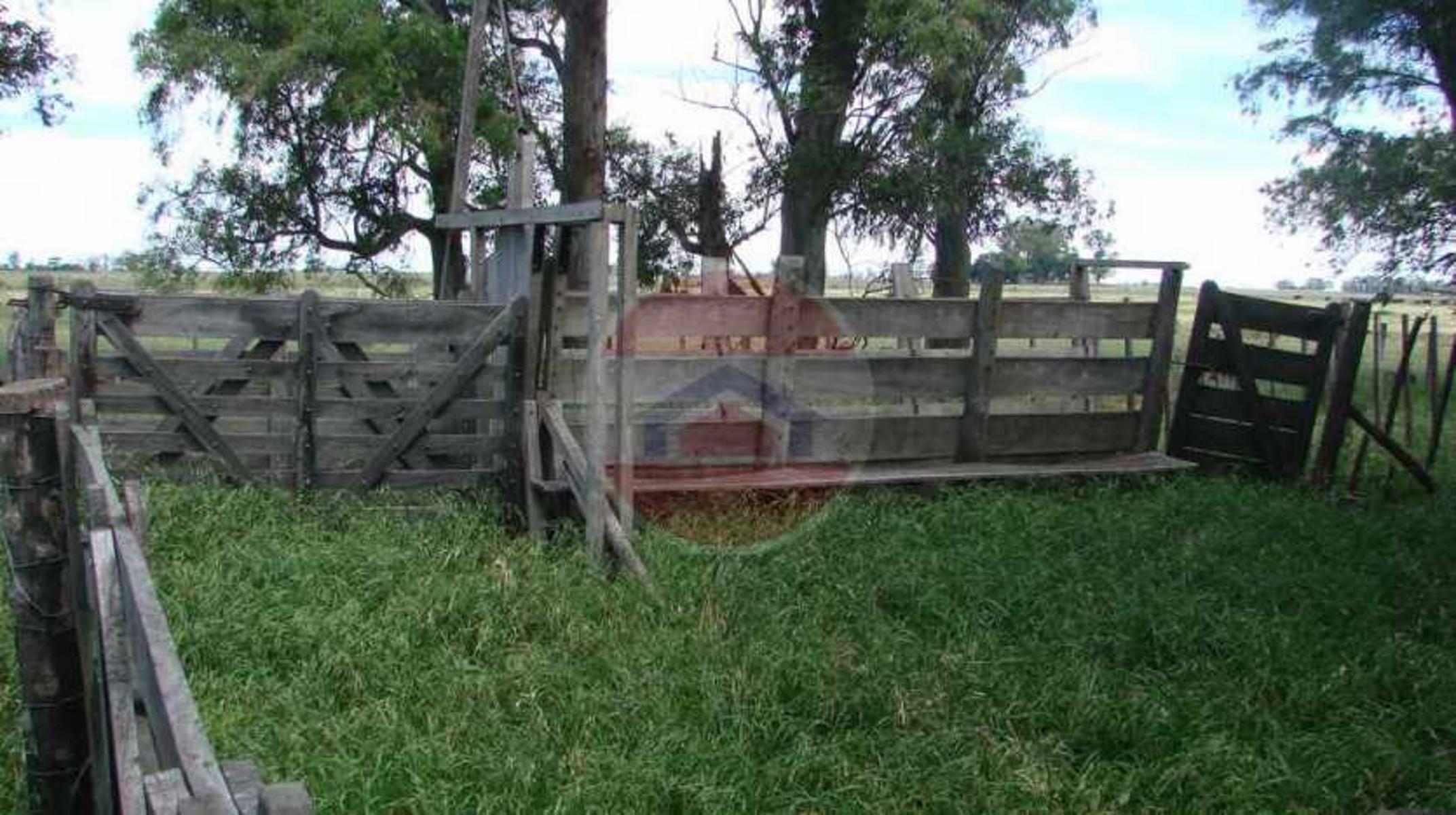 CAMPO EN VENTA EN LINCOLN - 34