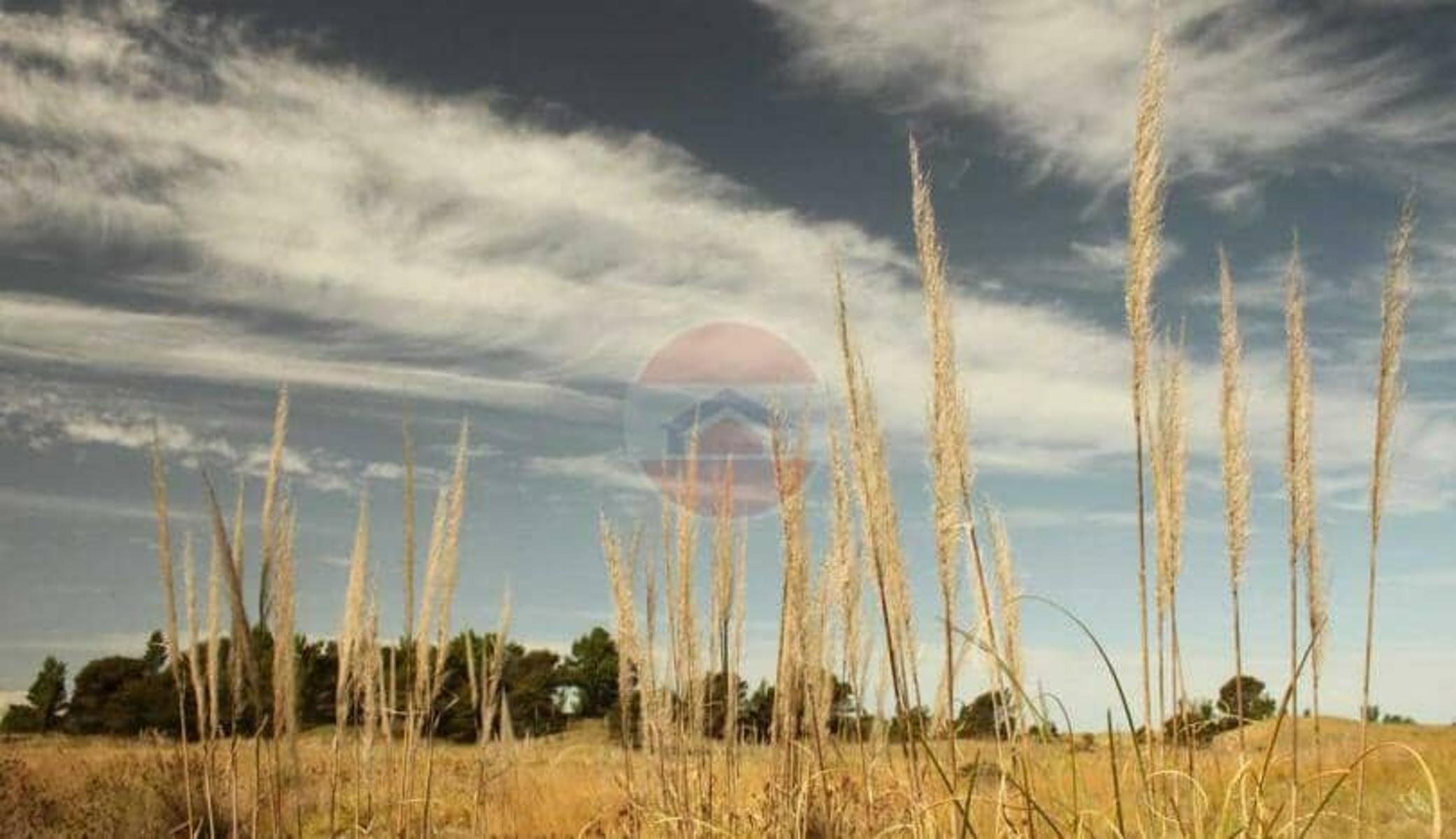 TERRENO | CHACRA MARITIMA LOTE 159 — foto 10